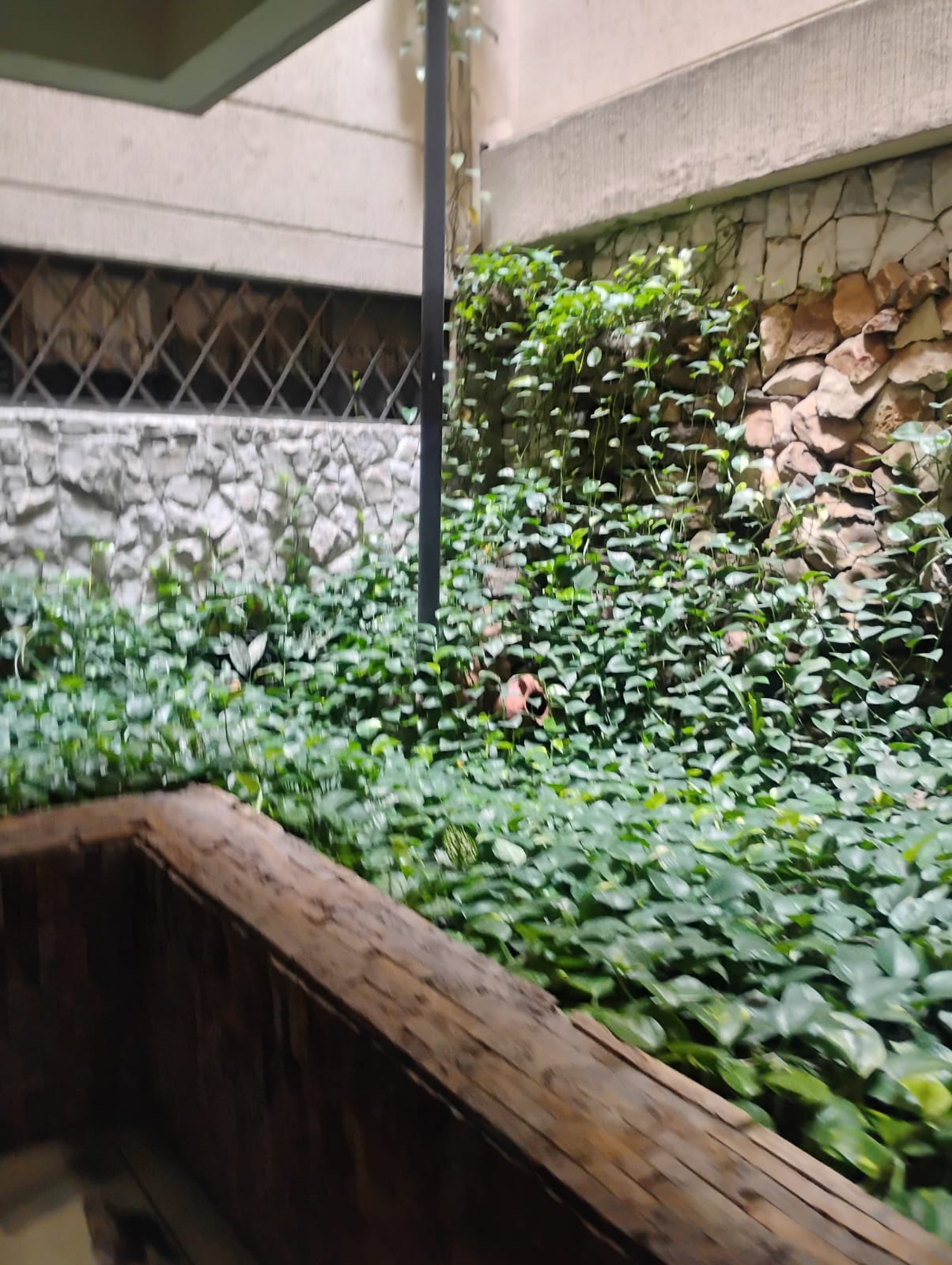 ARRENDO APARTAMENTO AL NORTE DE CALI EDI PRADOS DEL NORTE