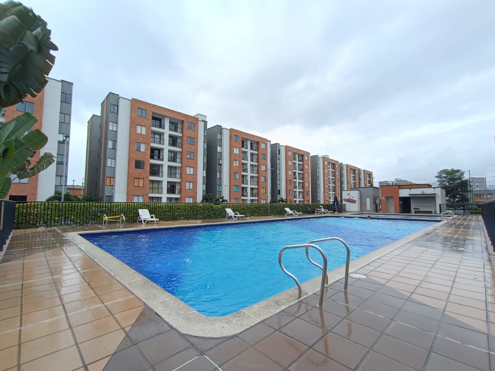 ARRIENDO APARTAMENTO EN CR ARRAYANES - PARQUE NATURA