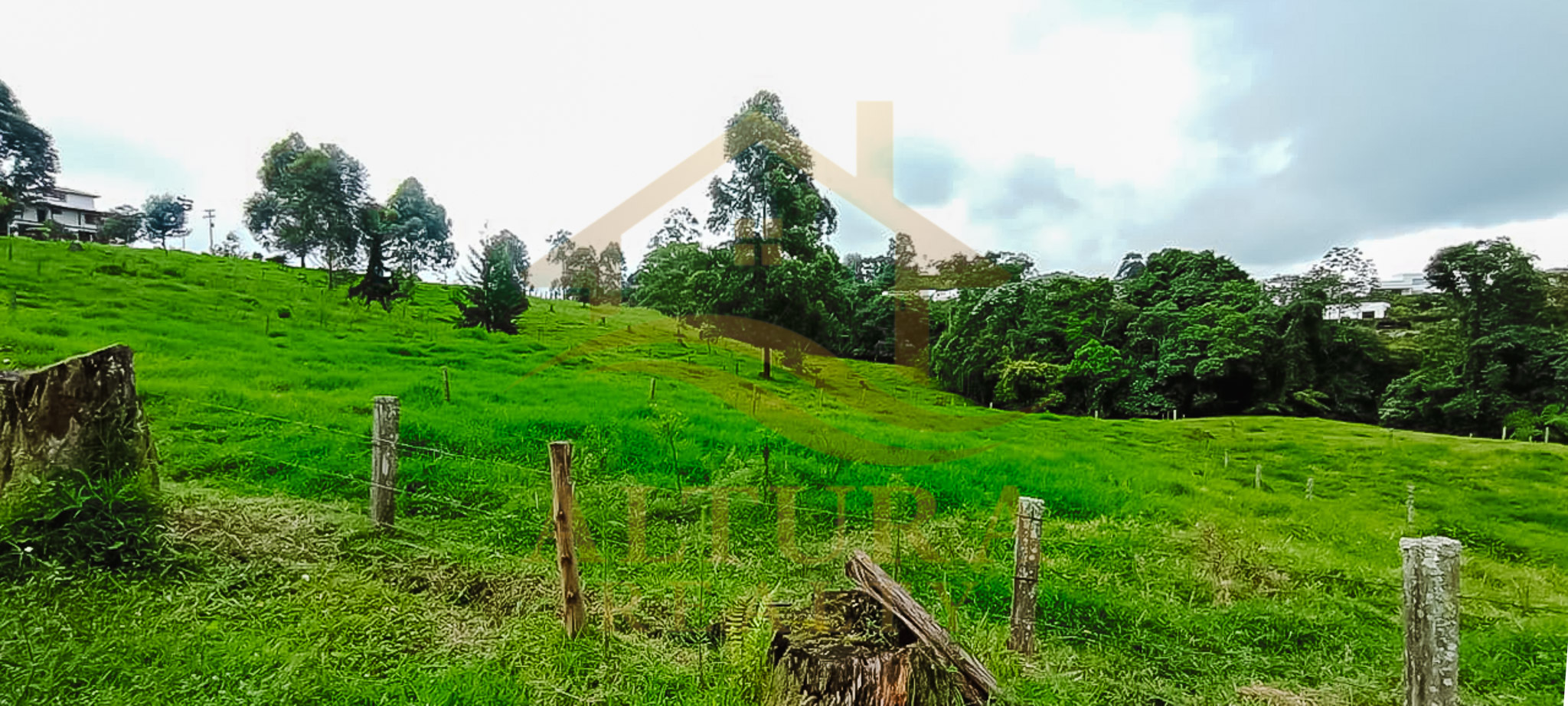 VENTA  5 LOTES  EN CIRCASIA QUINDIO (15.000 C/U)