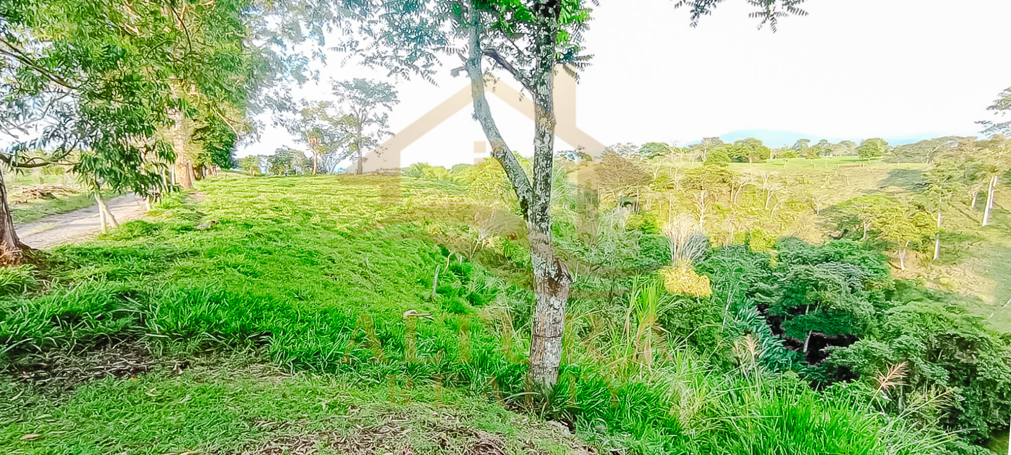 SE VENDE LOTE EN LA CRISTALINA CIRCASIA QUINDIO