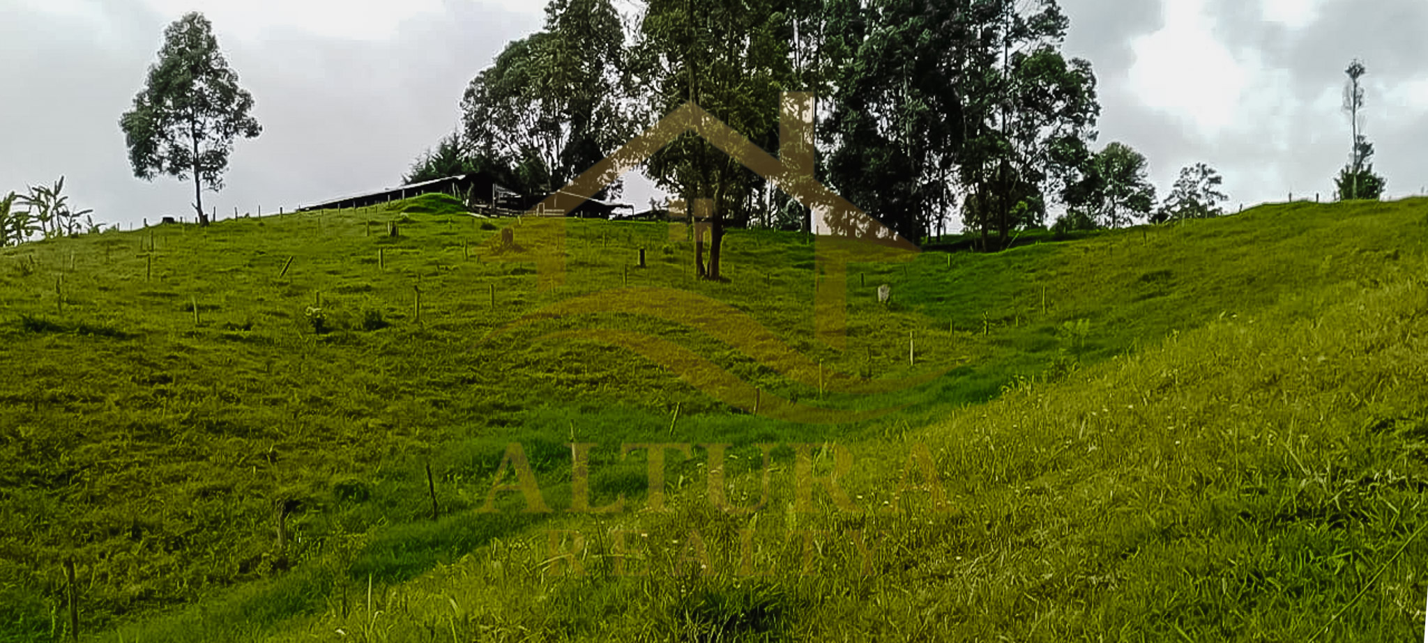 VENTA  5 LOTES  EN CIRCASIA QUINDIO (15.000 C/U)