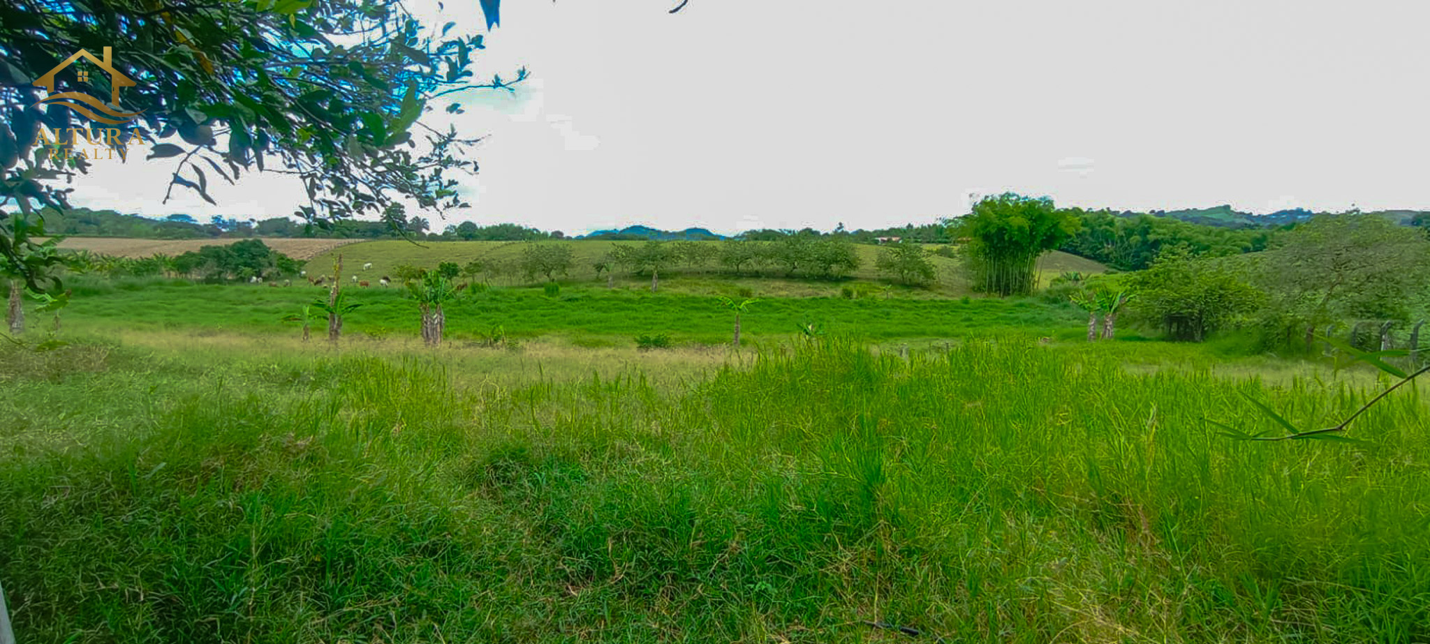 SE VENDE FINCA EN PUEBLO TAPAO QUINDIO,10 CUADRAS