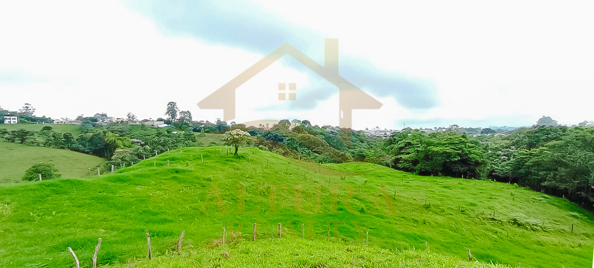 VENTA  5 LOTES  EN CIRCASIA QUINDIO (15.000 C/U)