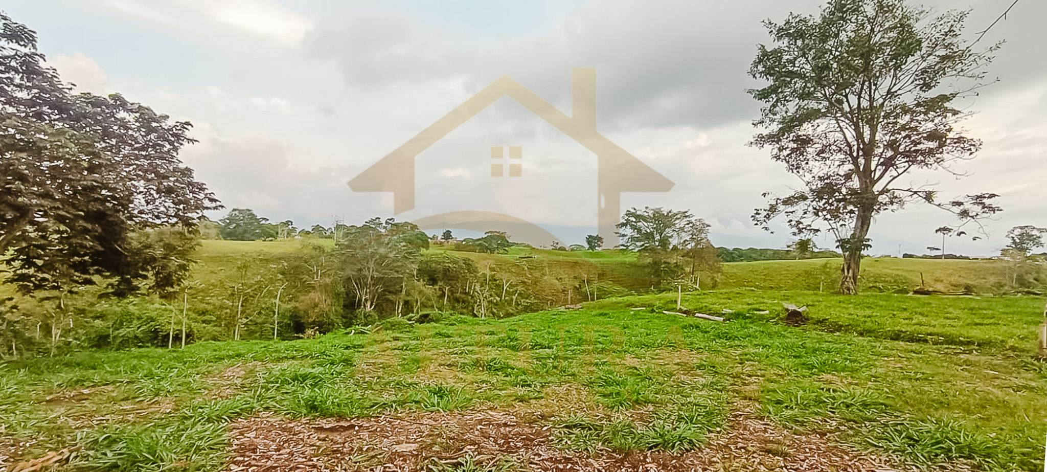 SE VENDE LOTE EN LA CRISTALINA CIRCASIA QUINDIO