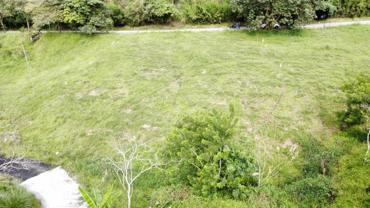 Lotes para Vivienda Campestre en el Paisaje Cultural Cafetero