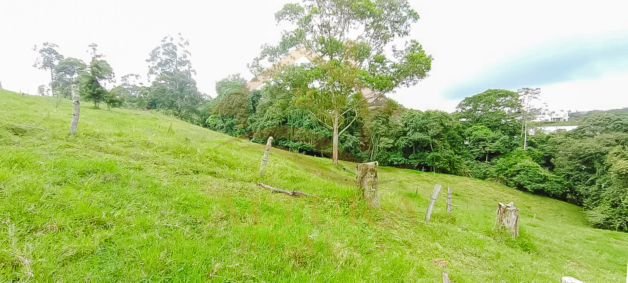 VENTA  5 LOTES  EN CIRCASIA QUINDIO (15.000 C/U)