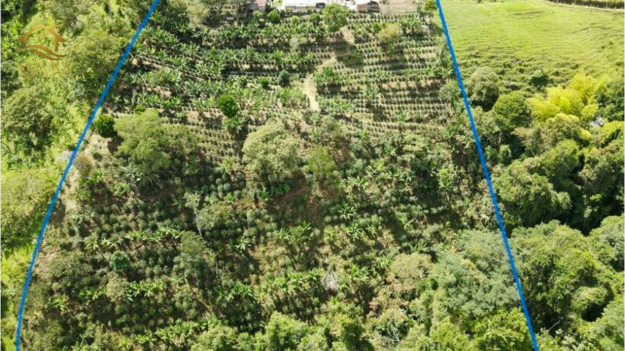 SE VENDE FINCA EN CIRCASIA QUINDIO