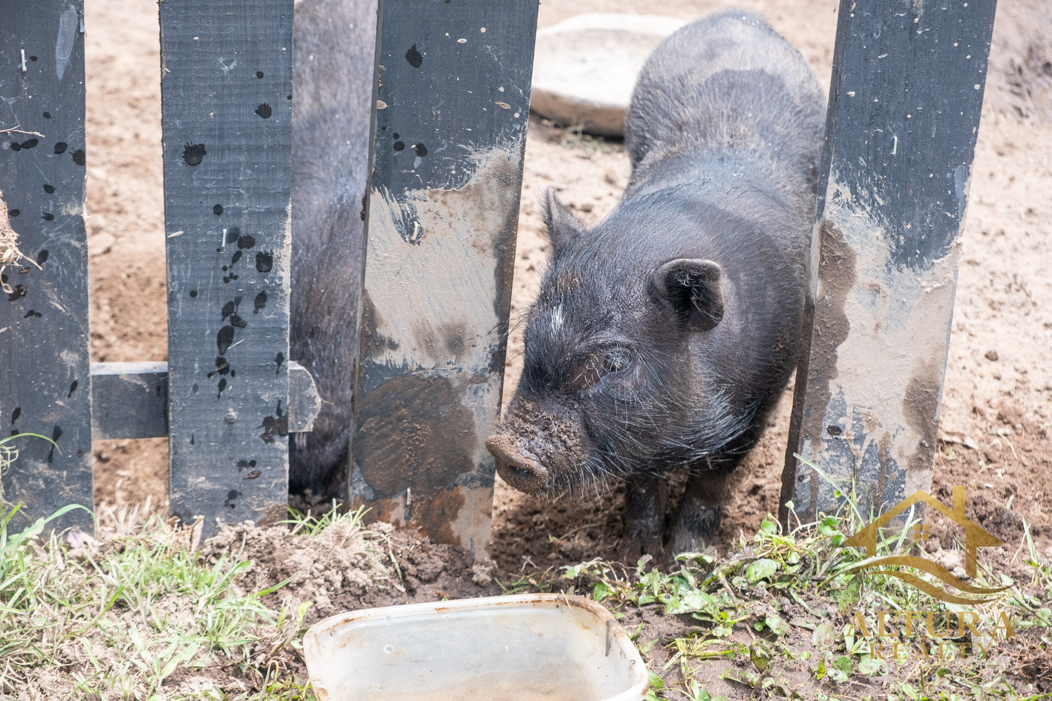 SE VENDE RESTAURANTE CON GRANJA TURISTICA CERCA AL PARQUE DEL CAFE