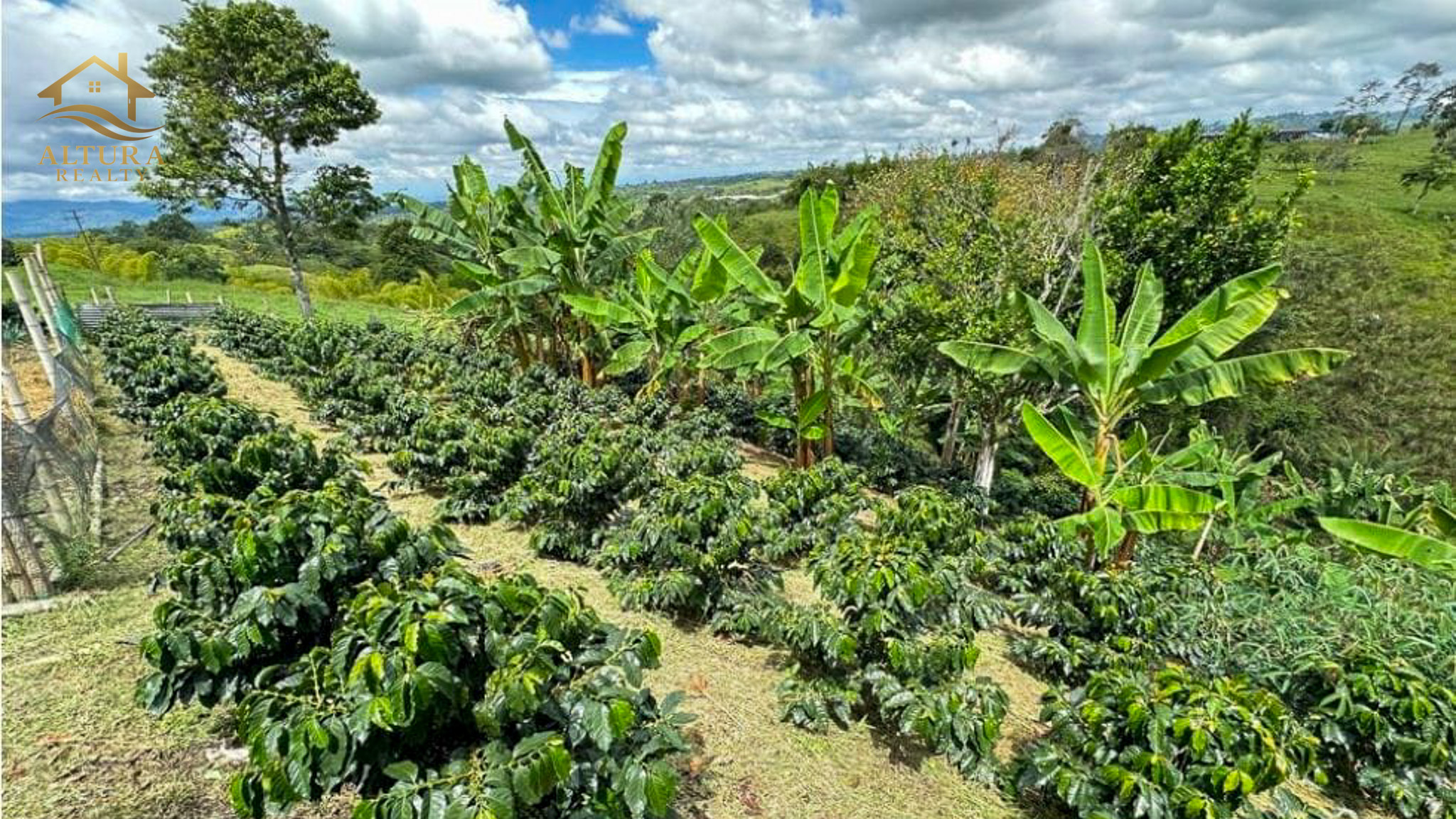SE VENDE FINCA EN CIRCASIA QUINDIO