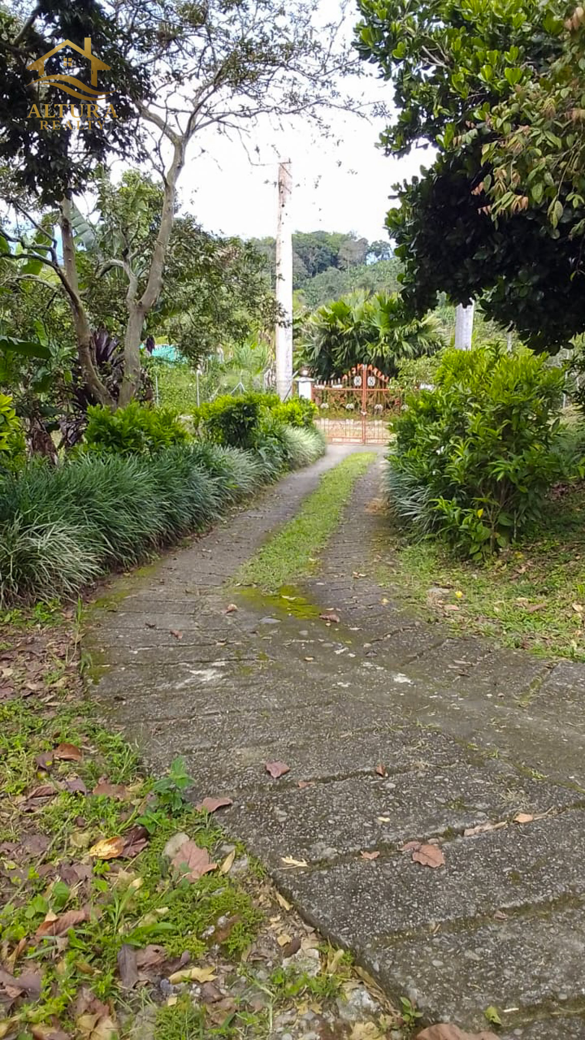 SE VENDE FINCA EN CIRCASIA QUINDIO
