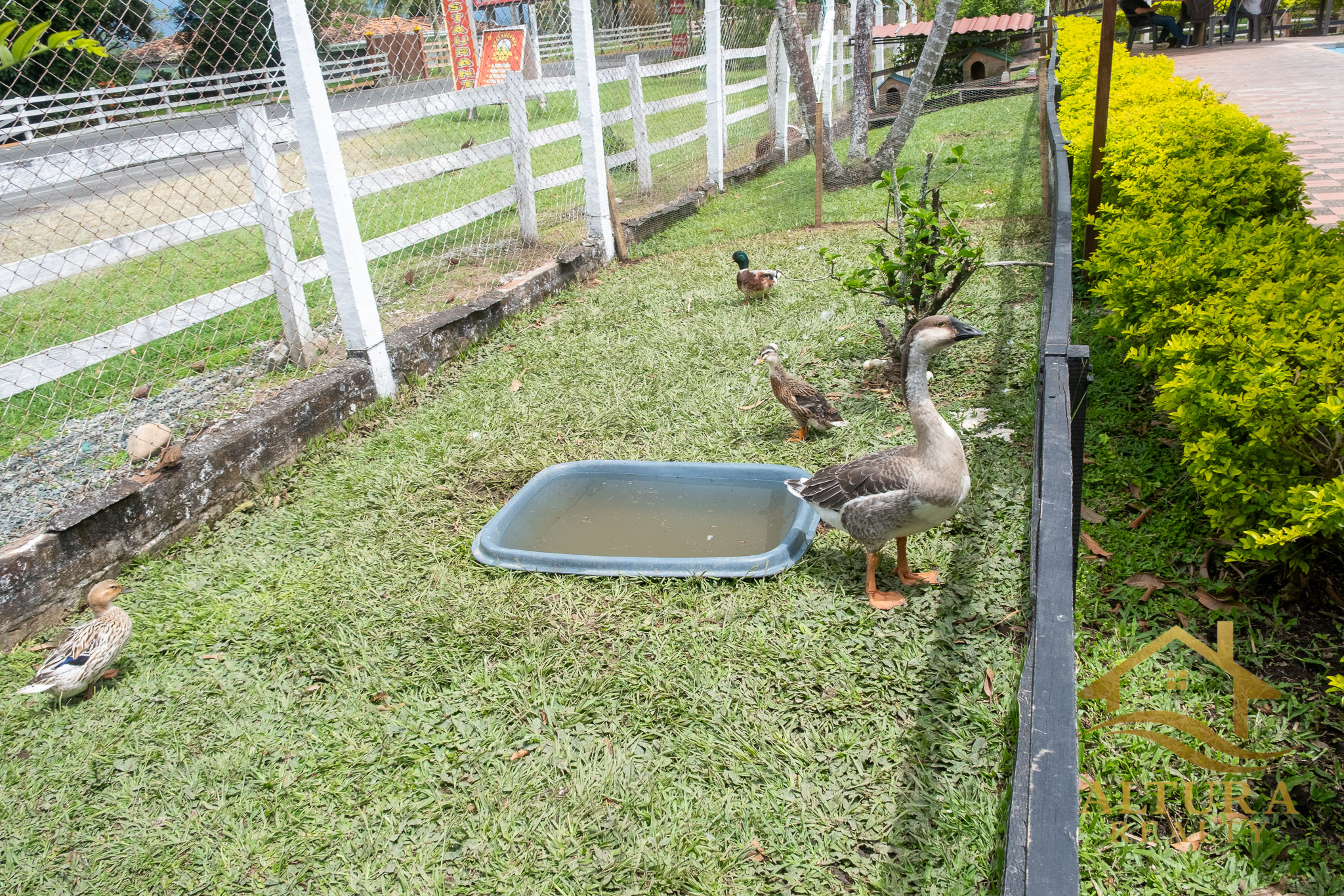 SE VENDE RESTAURANTE CON GRANJA TURISTICA CERCA AL PARQUE DEL CAFE