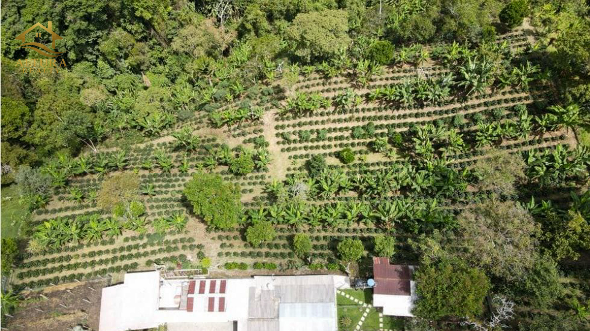 SE VENDE FINCA EN CIRCASIA QUINDIO