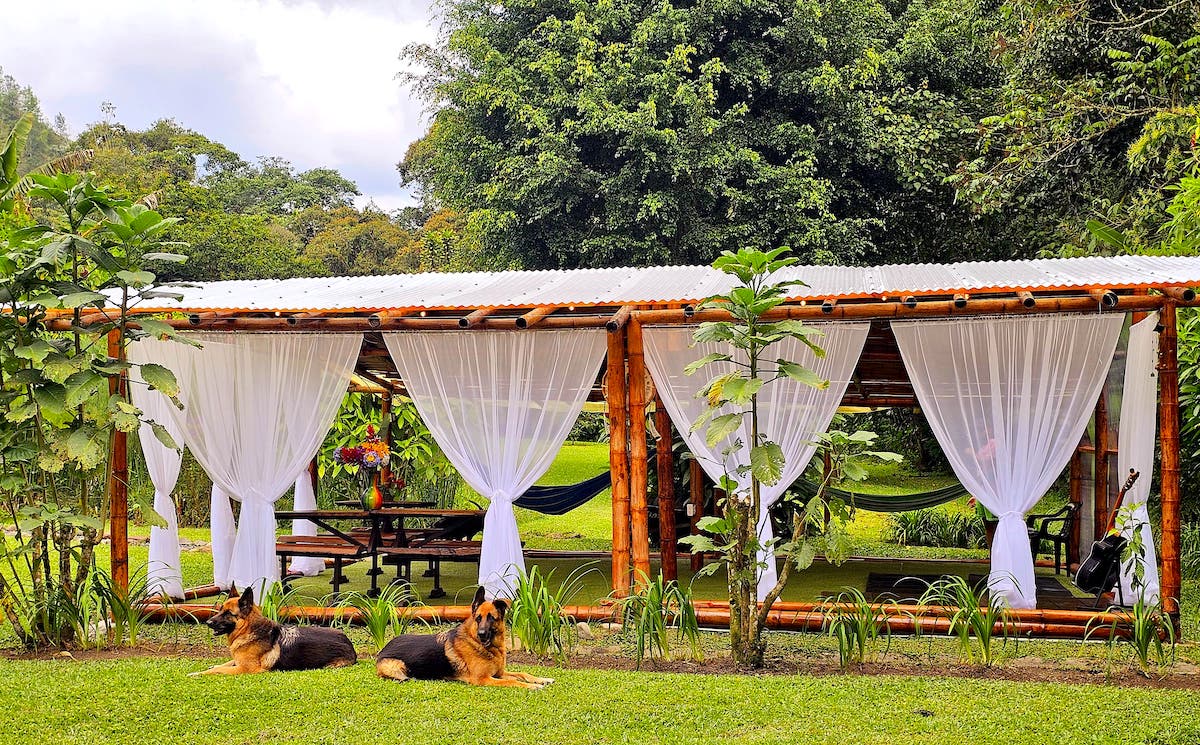 Oportunidad de Inversión en Eco-Lodge Frente al Río en Salento