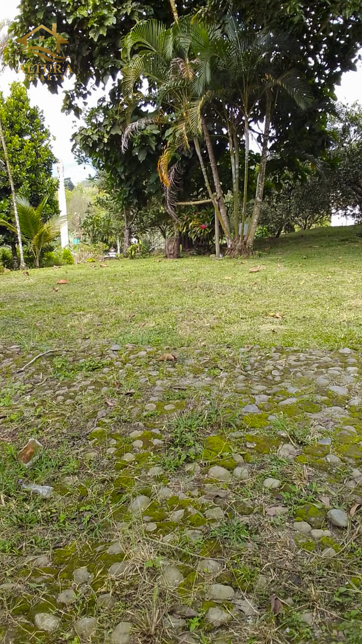 SE VENDE FINCA EN CIRCASIA QUINDIO