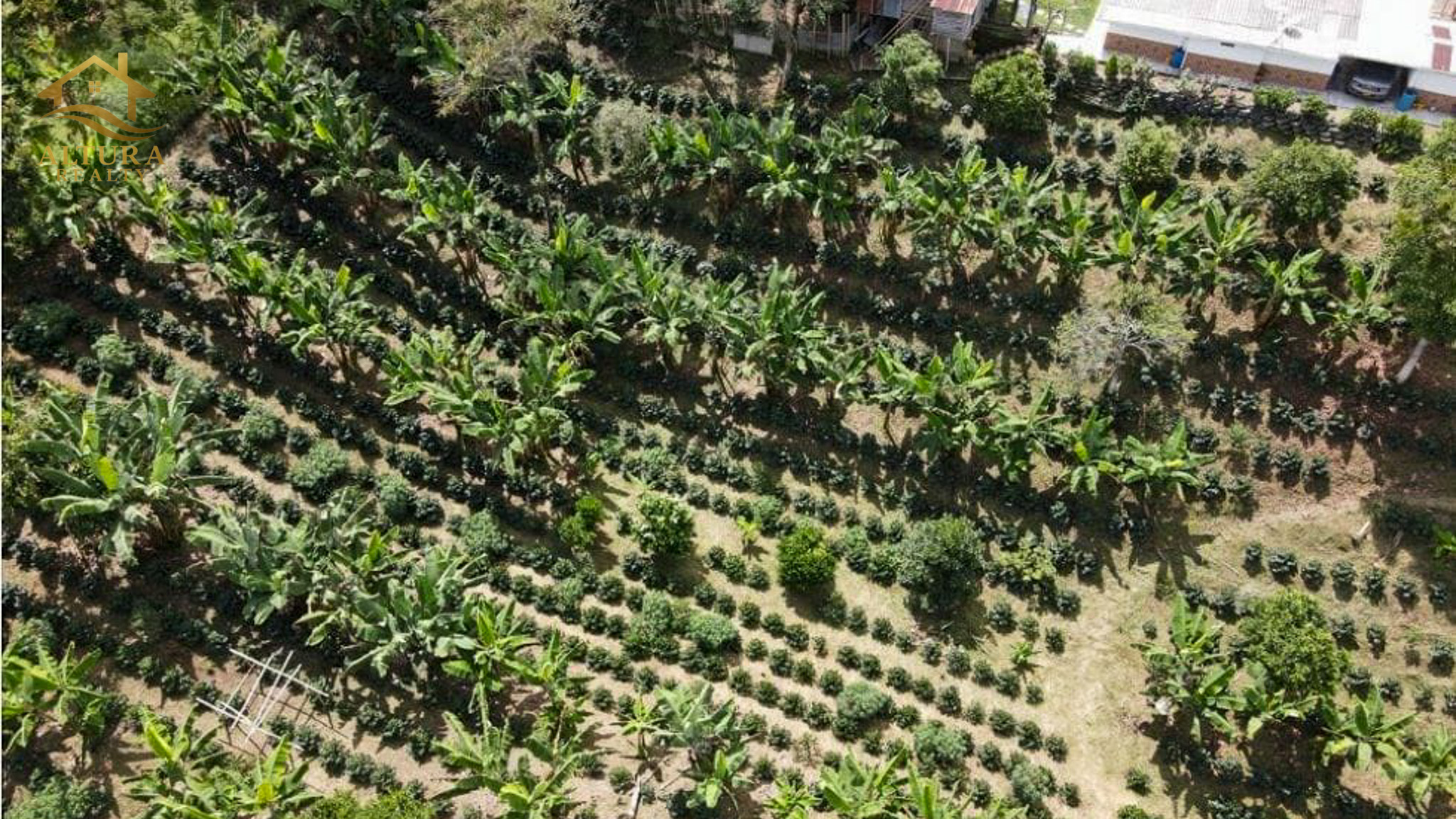 SE VENDE FINCA EN CIRCASIA QUINDIO