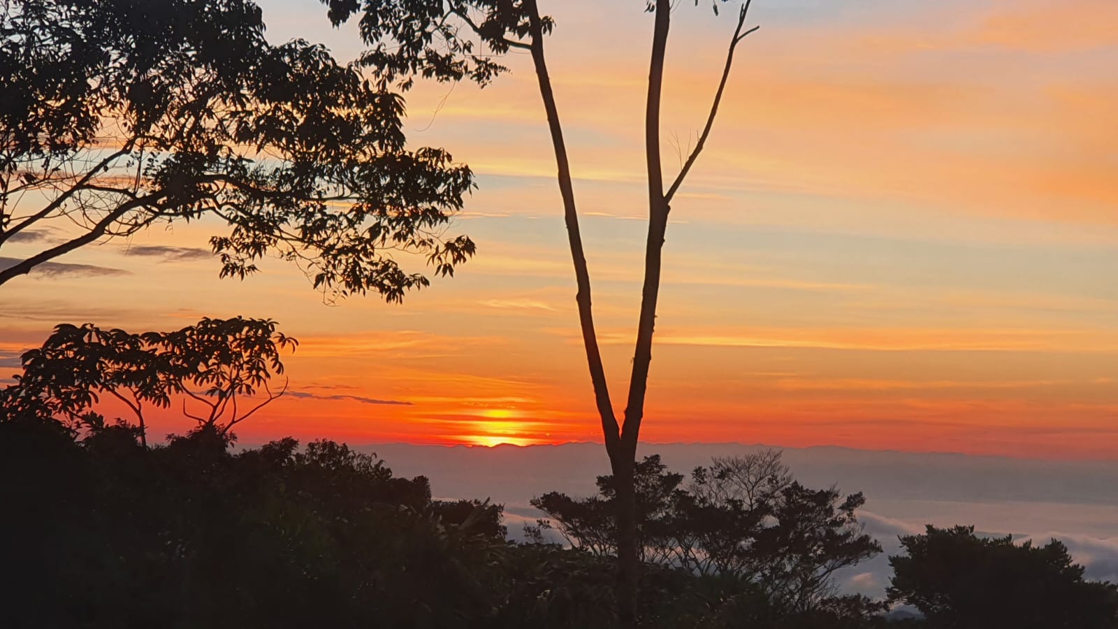 SALE PENDING - LOTE CON VISTA INCREÍBLE EN SAN LUIS |