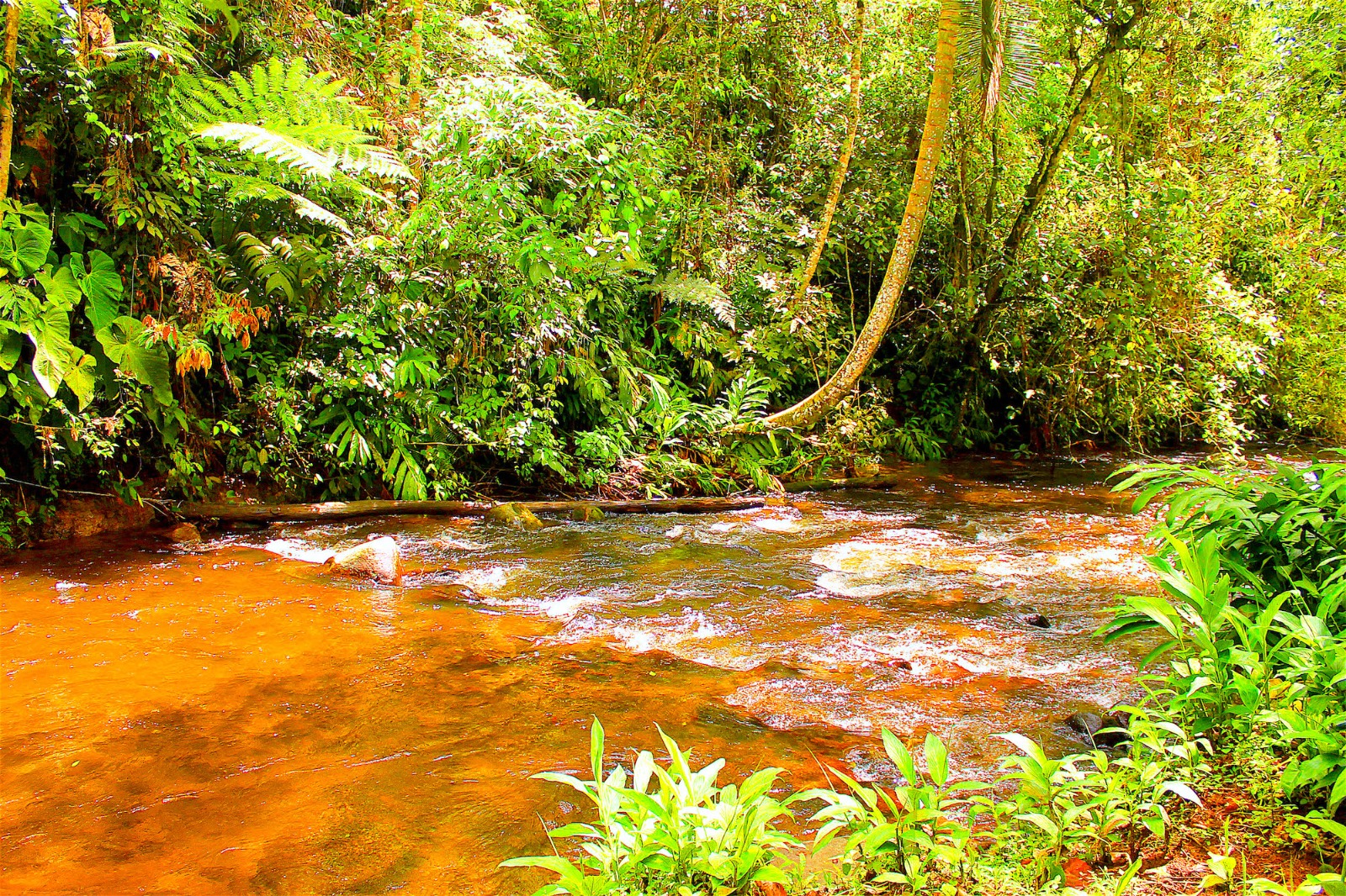 Oportunidad de Inversión en Eco-Lodge Frente al Río en Salento