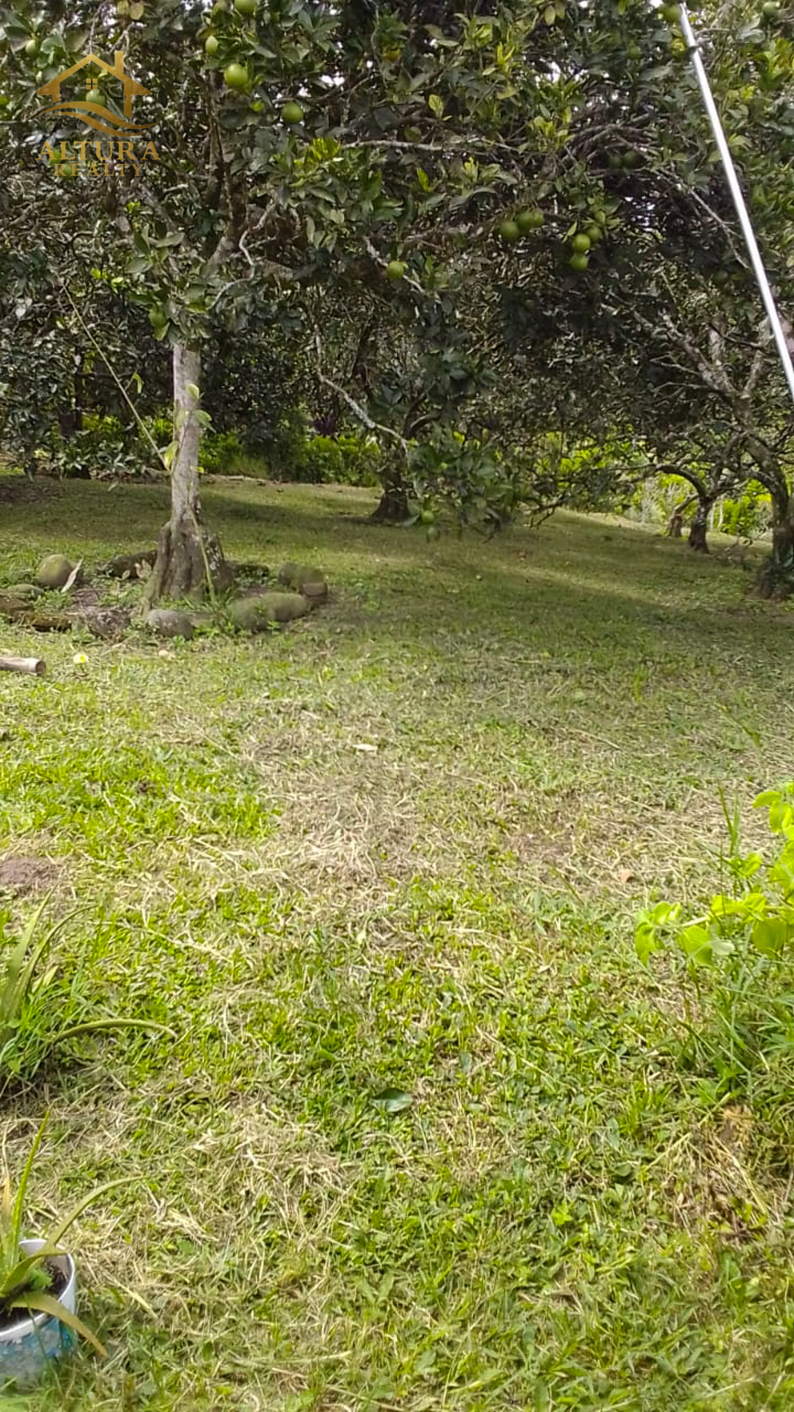 SE VENDE FINCA EN CIRCASIA QUINDIO