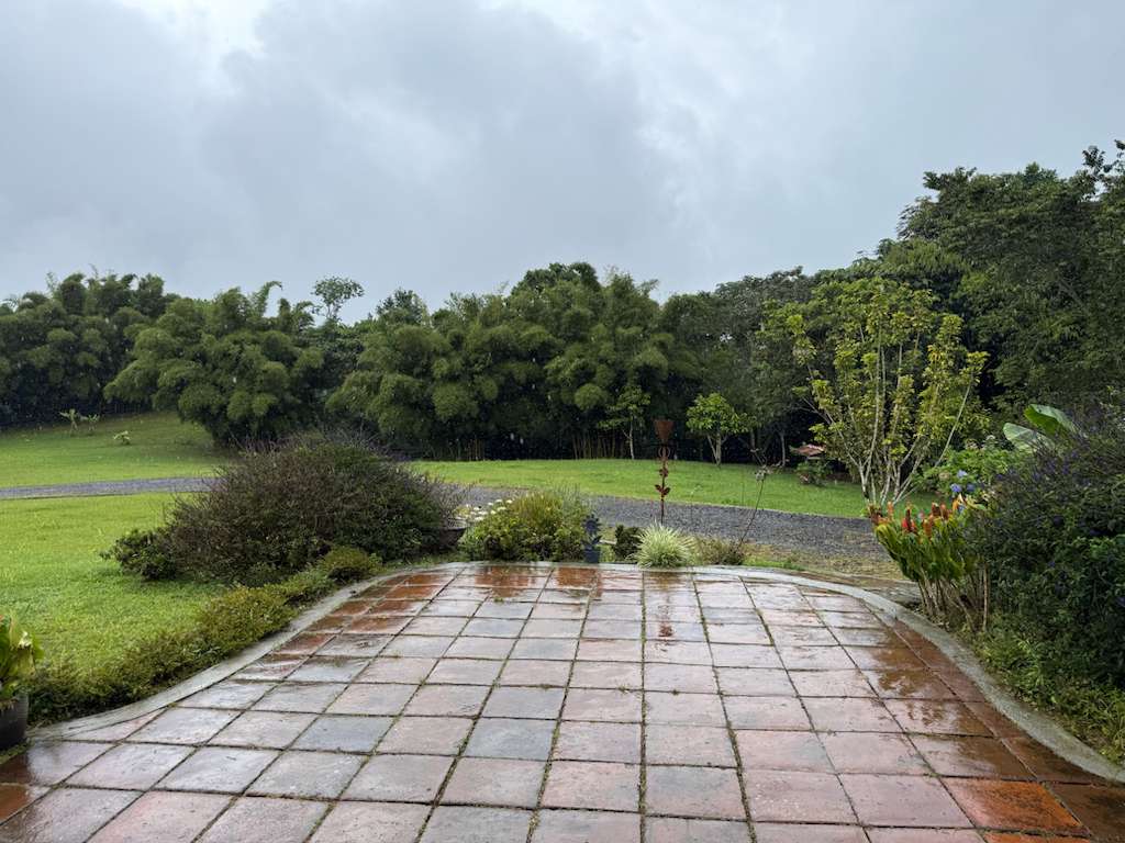 Filandia Exclusive Finca surrounded by native forest