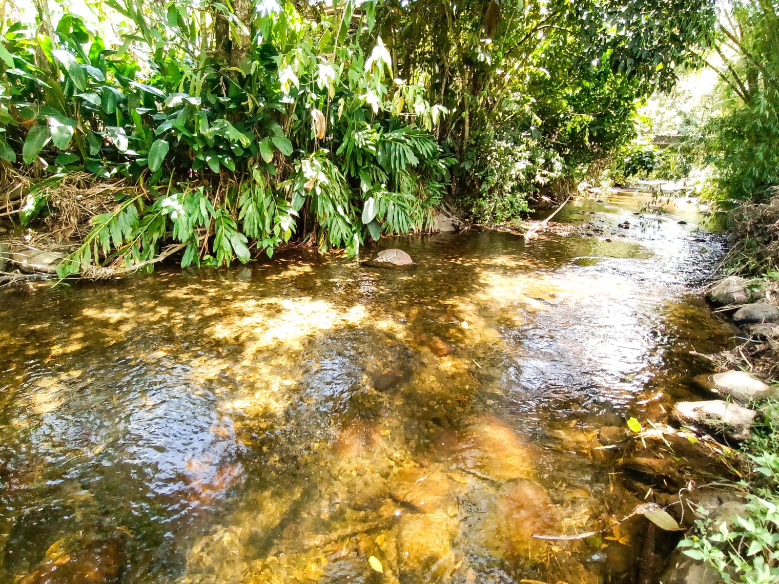 Hotel con Restaurante, Café y Bar En Venta Salento Quindío