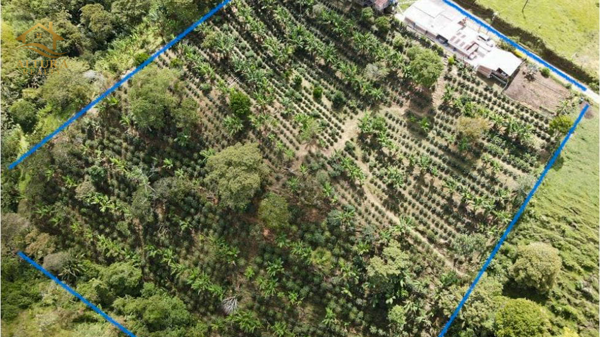 SE VENDE FINCA EN CIRCASIA QUINDIO