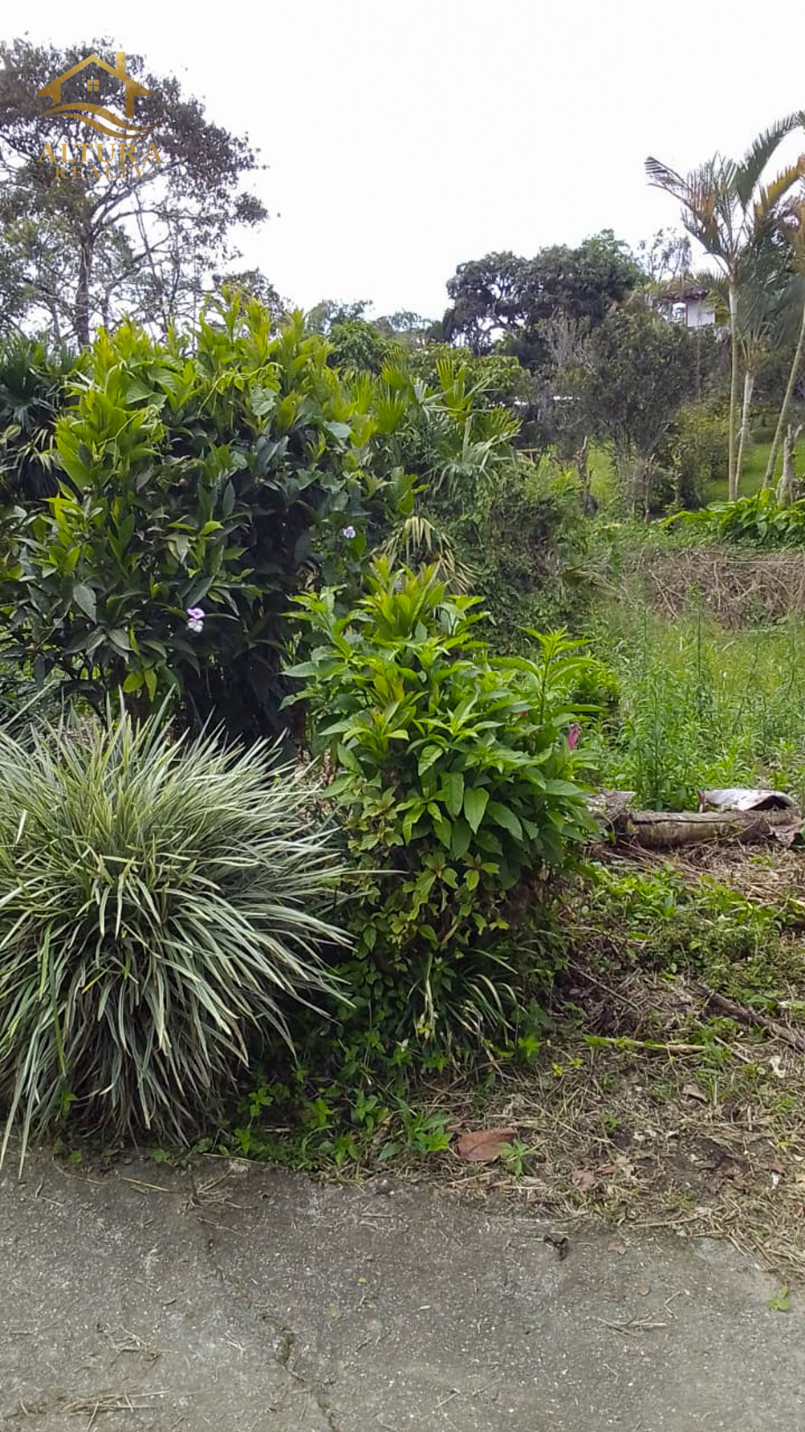 SE VENDE FINCA EN CIRCASIA QUINDIO