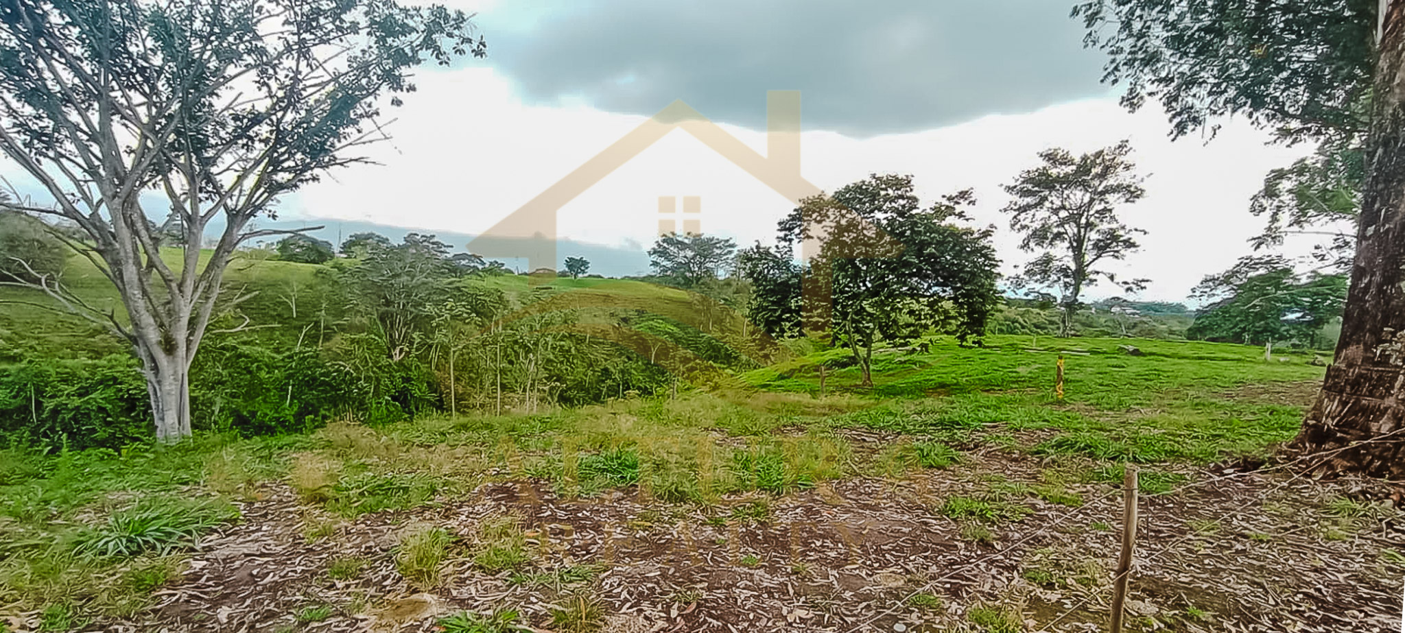 SE VENDE LOTE EN LA CRISTALINA CIRCASIA QUINDIO