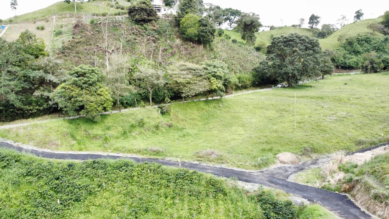 Lotes para Vivienda Campestre en el Paisaje Cultural Cafetero
