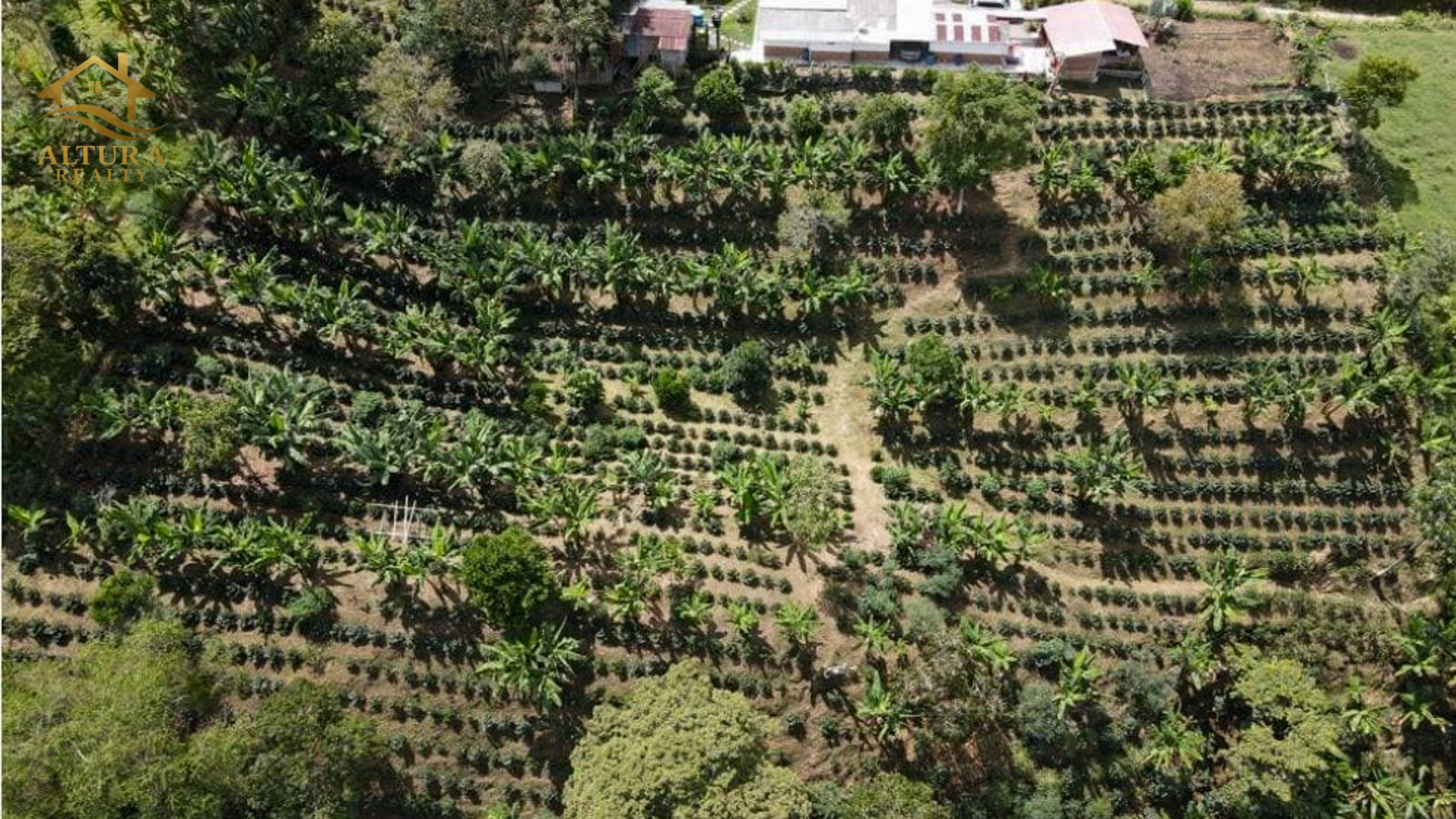 SE VENDE FINCA EN CIRCASIA QUINDIO