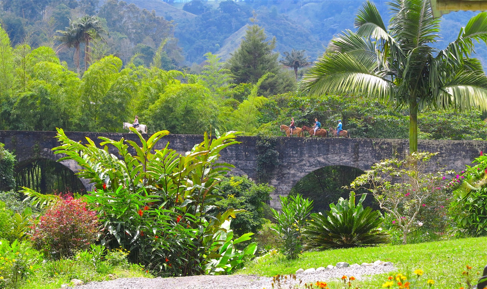 Oportunidad de Inversión en Eco-Lodge Frente al Río en Salento