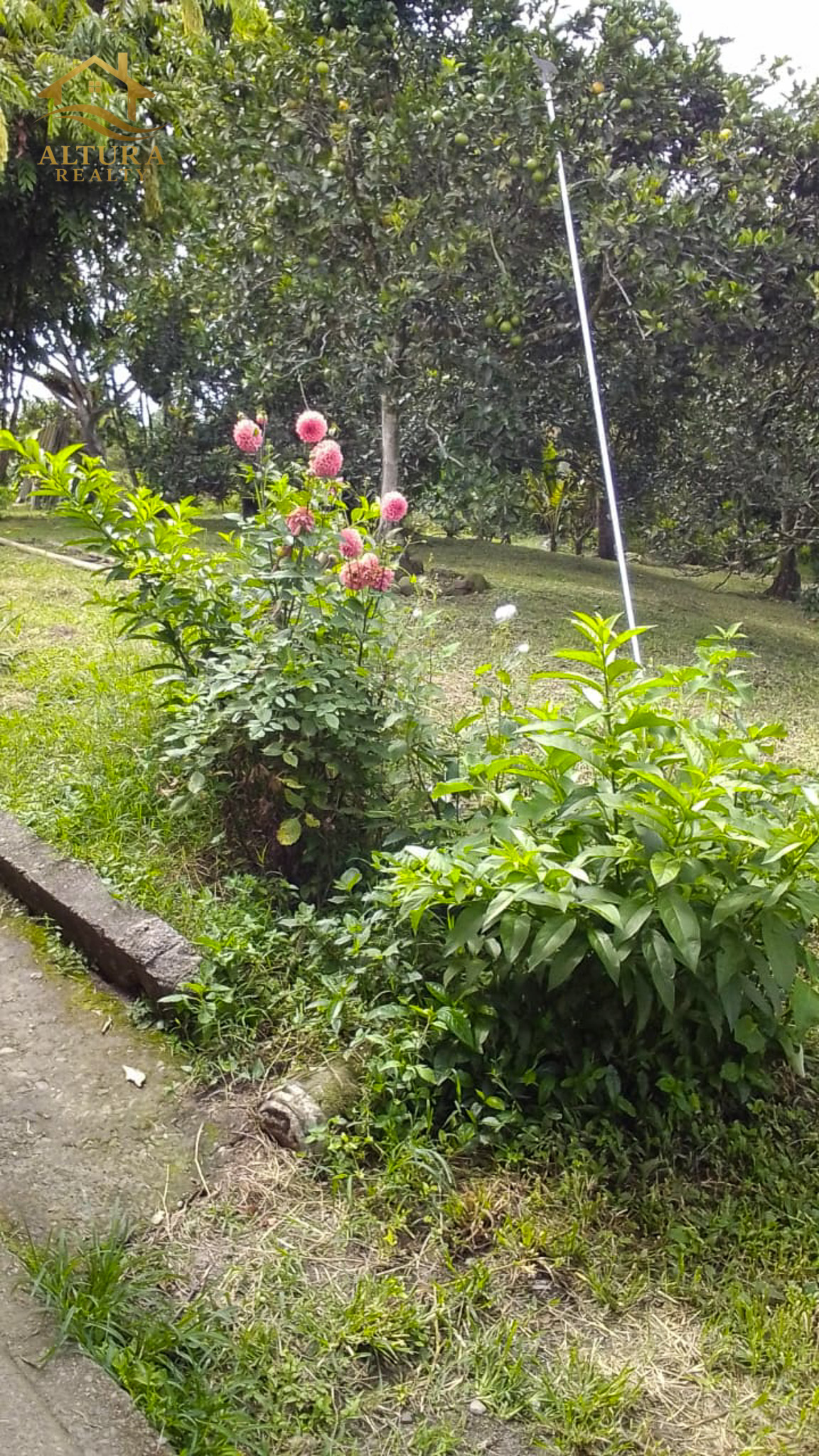 SE VENDE FINCA EN CIRCASIA QUINDIO