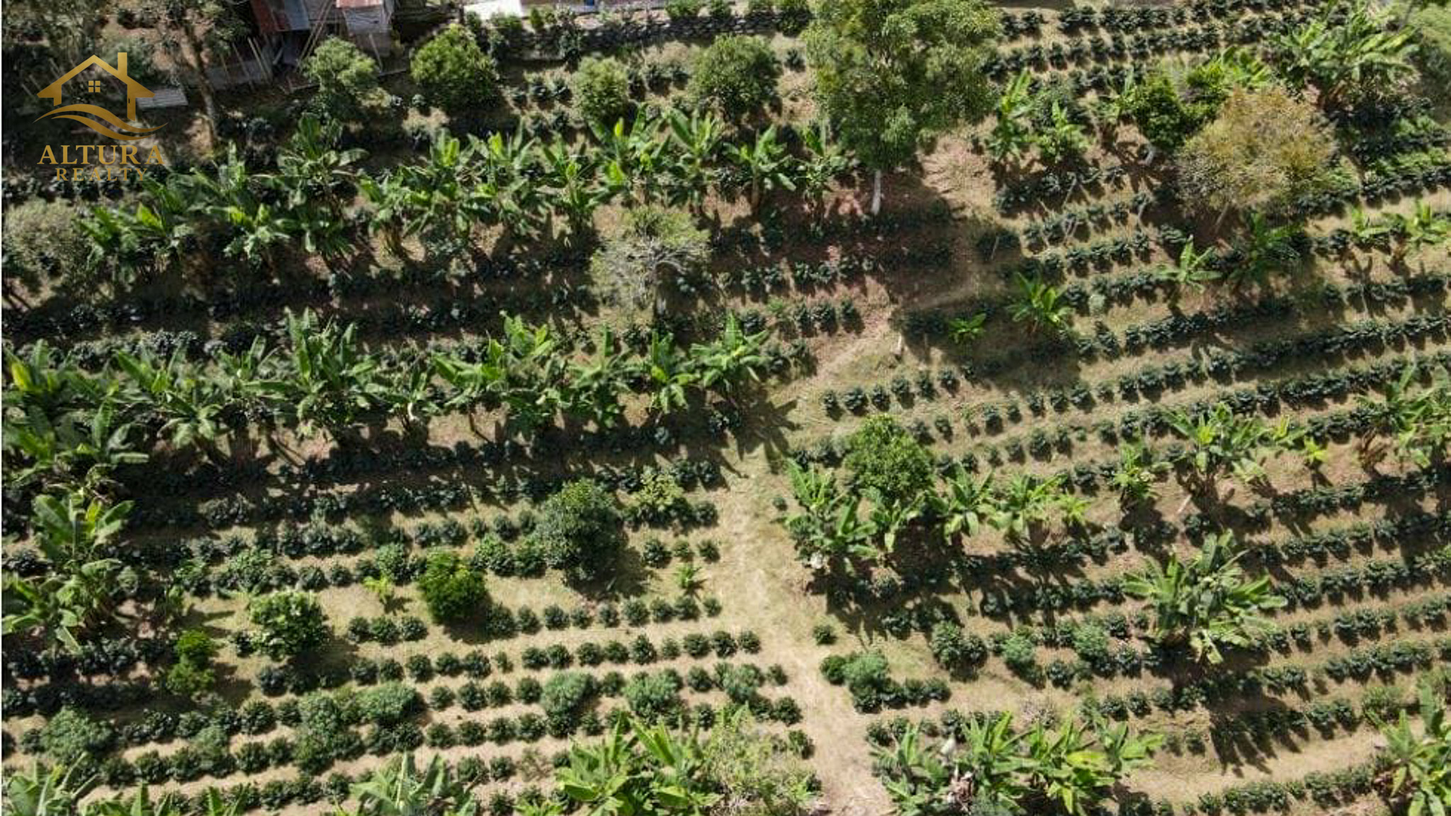 SE VENDE FINCA EN CIRCASIA QUINDIO