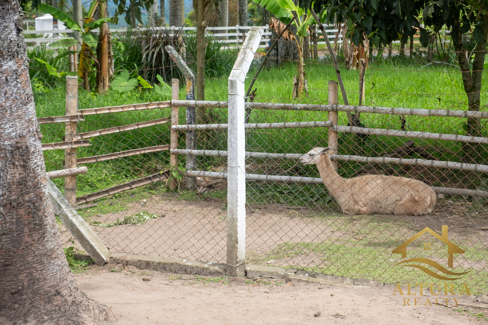 SE VENDE RESTAURANTE CON GRANJA TURISTICA CERCA AL PARQUE DEL CAFE