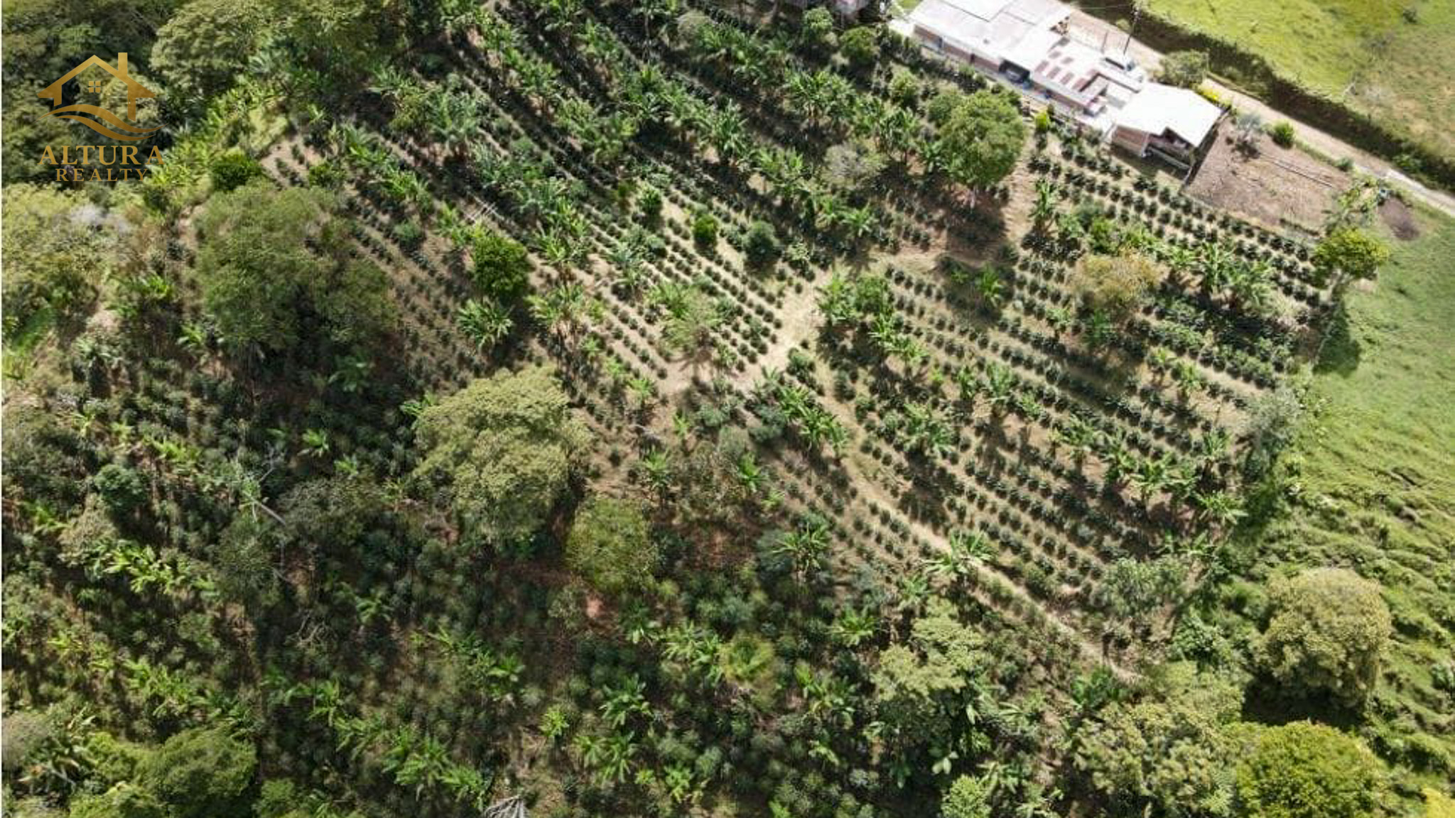 SE VENDE FINCA EN CIRCASIA QUINDIO