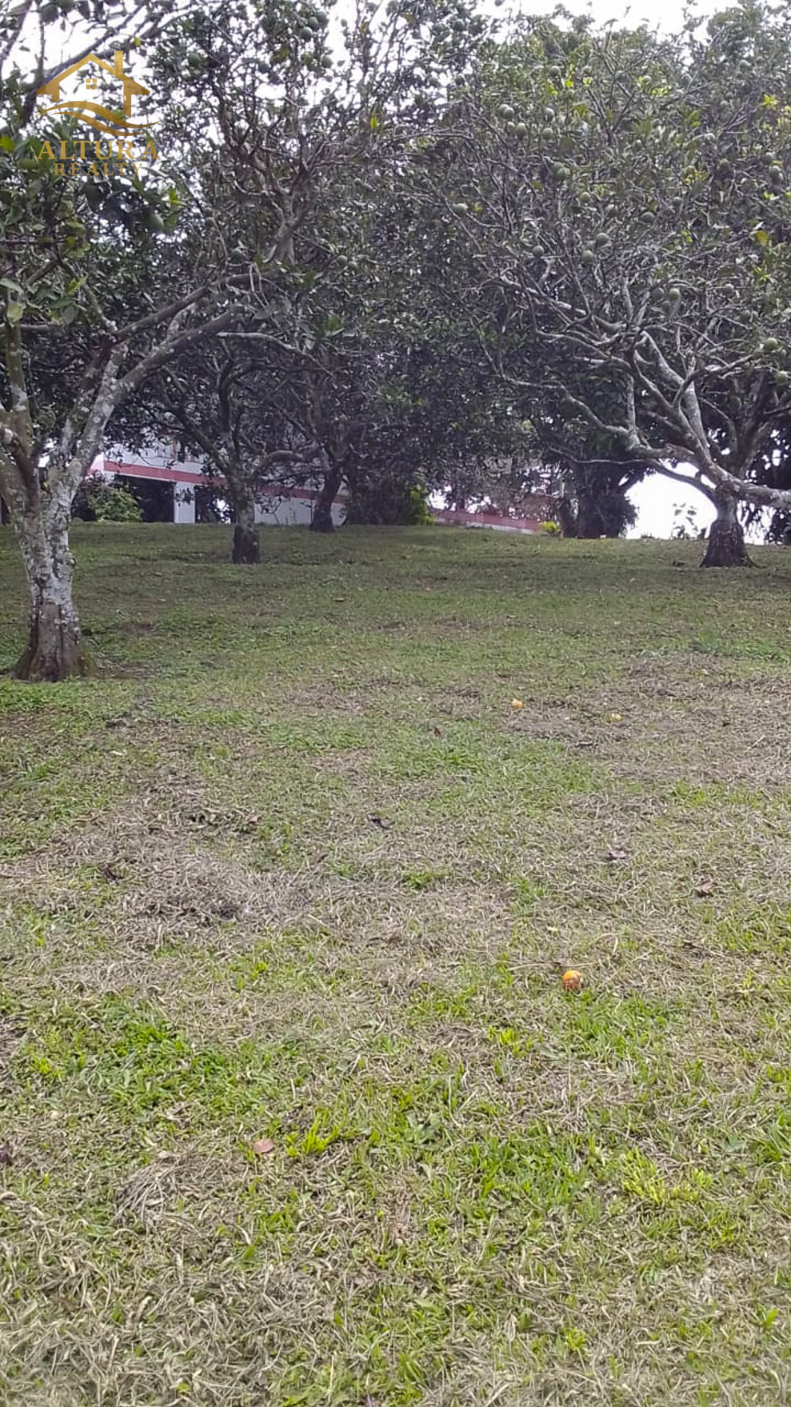 SE VENDE FINCA EN CIRCASIA QUINDIO