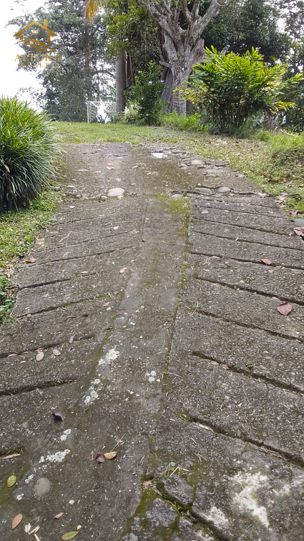 SE VENDE FINCA EN CIRCASIA QUINDIO