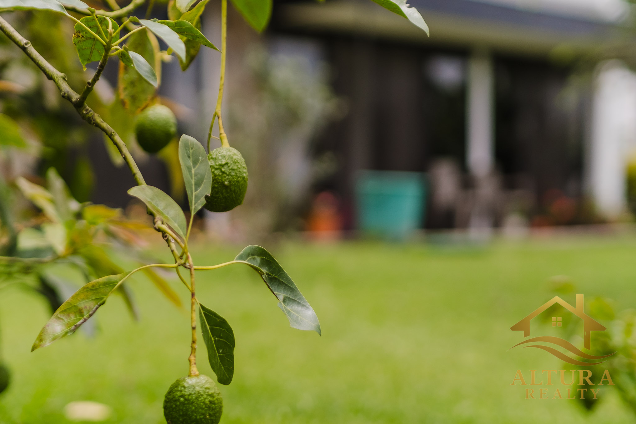 SE VENDE CASA CAMPESTRE EN CONJUNTO CERRADO CIRCASIA QUINDIO
