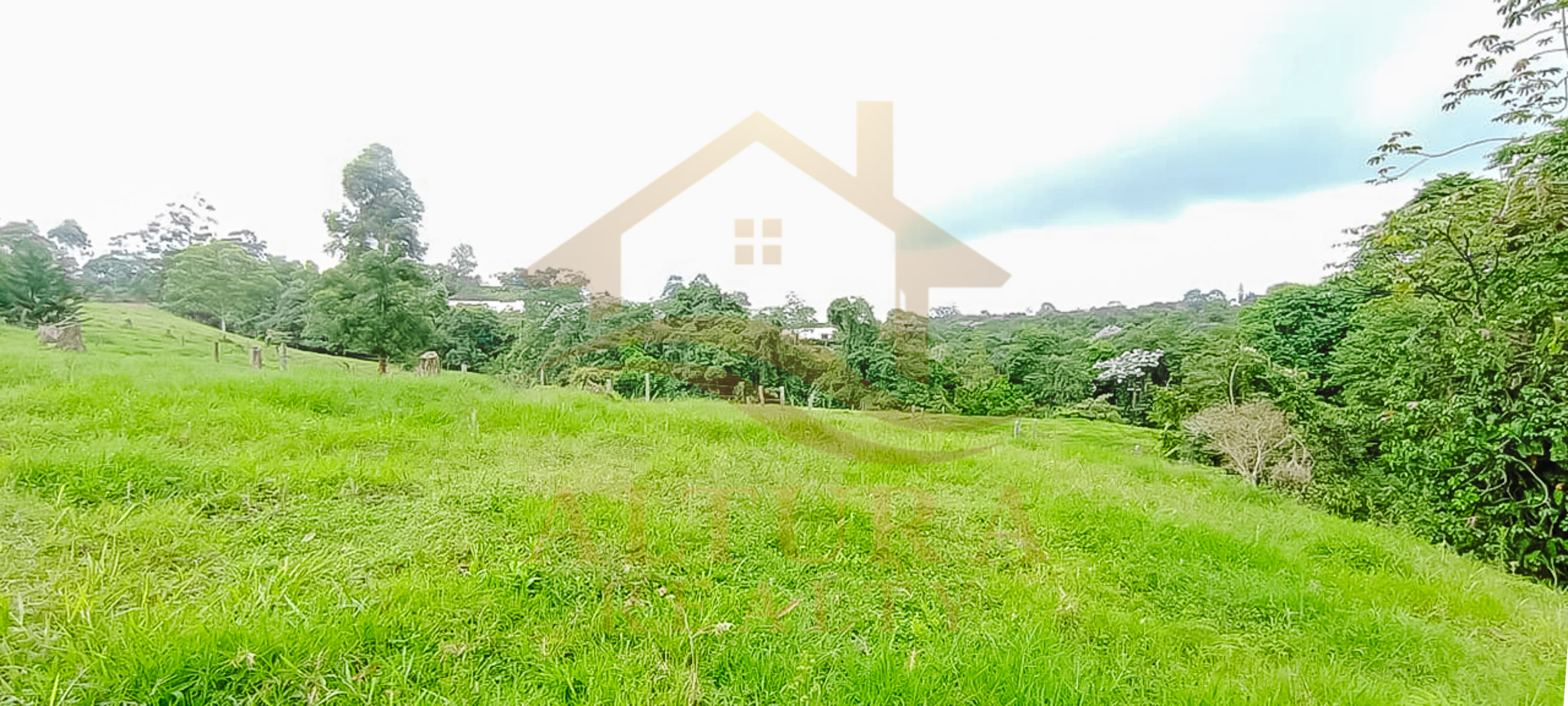 VENTA  5 LOTES  EN CIRCASIA QUINDIO (15.000 C/U)