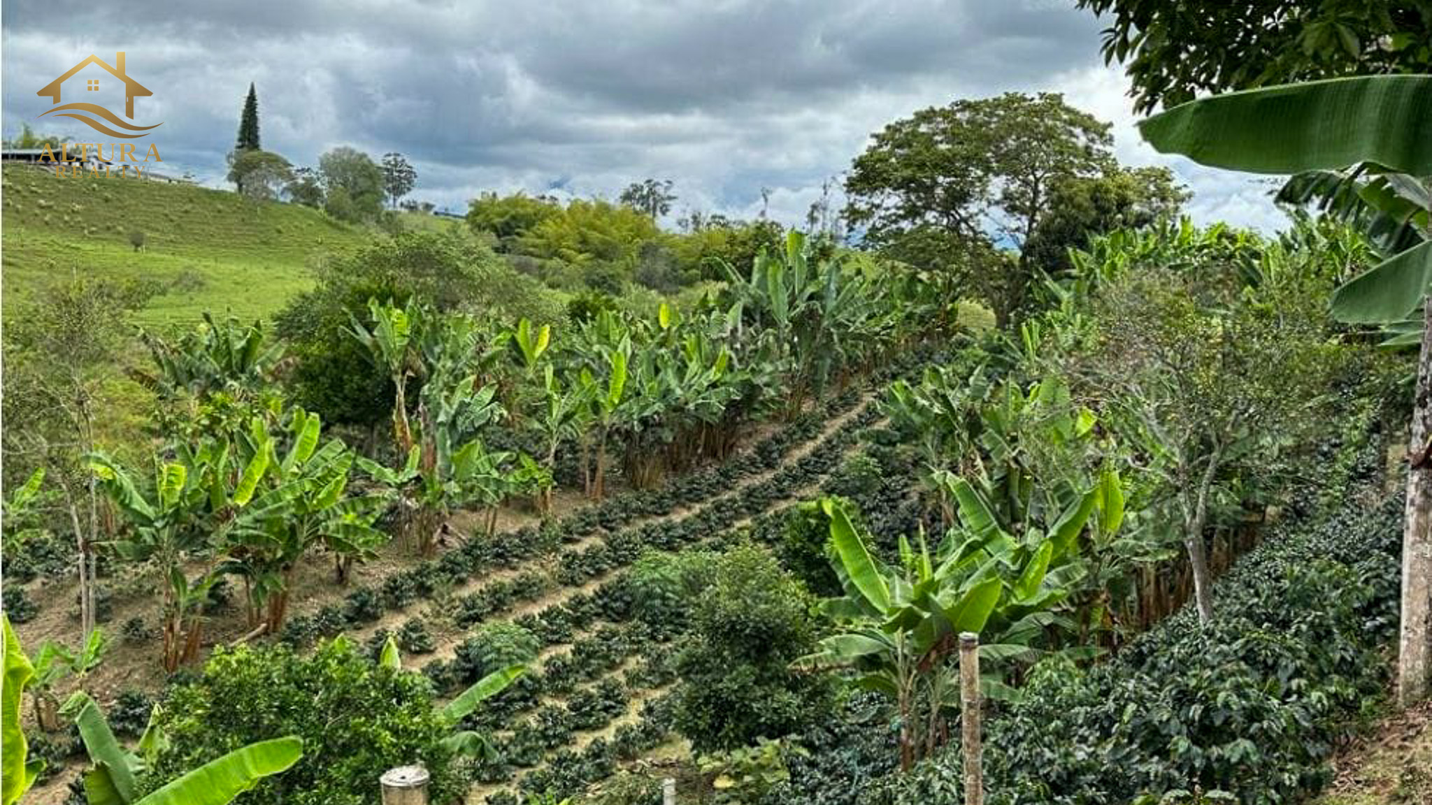 SE VENDE FINCA EN CIRCASIA QUINDIO