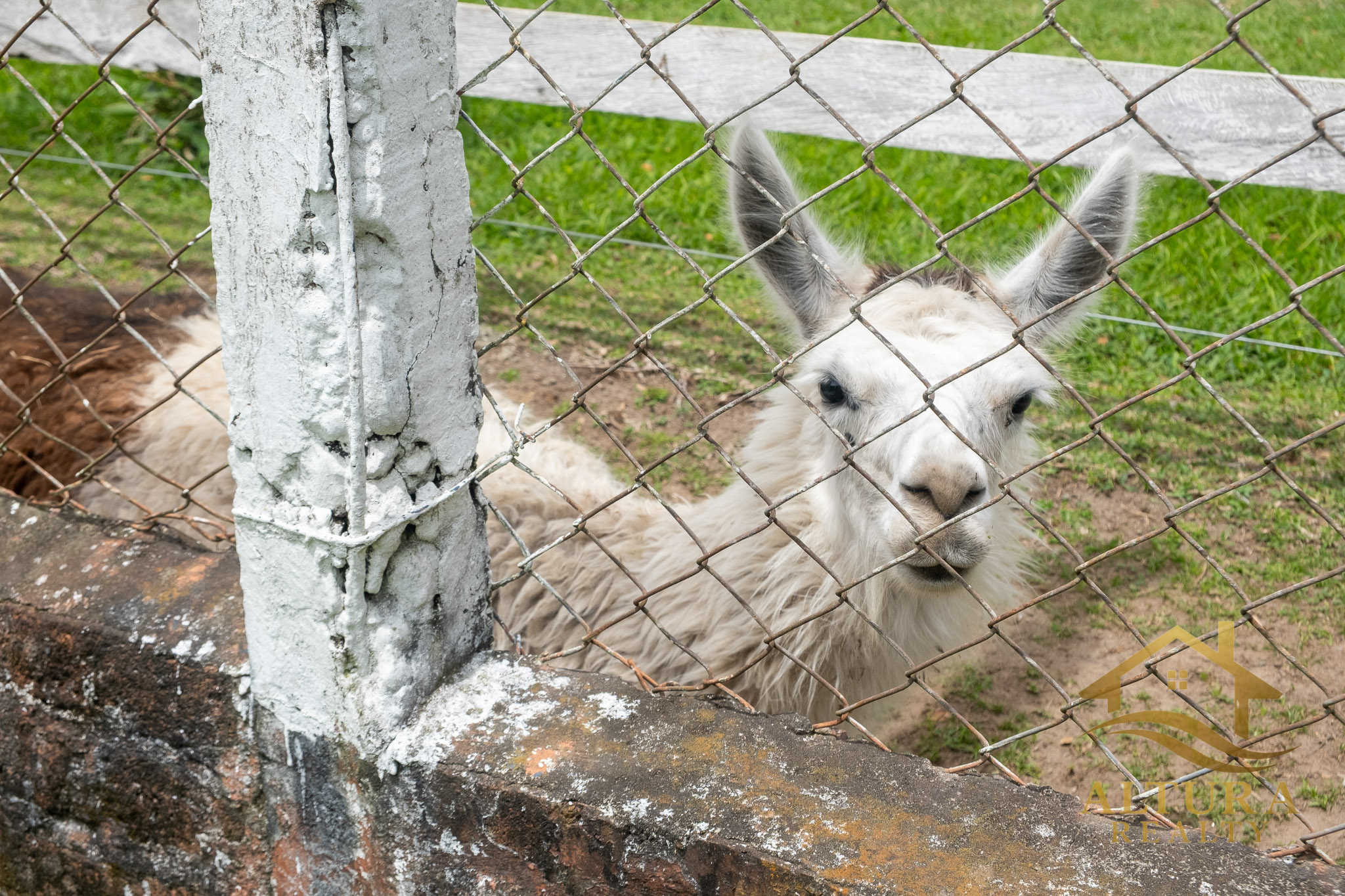 SE VENDE RESTAURANTE CON GRANJA TURISTICA CERCA AL PARQUE DEL CAFE