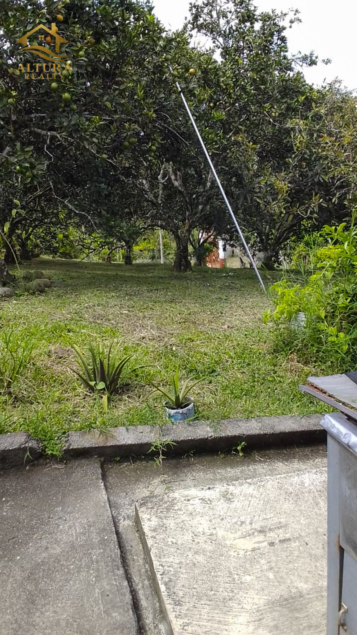 SE VENDE FINCA EN CIRCASIA QUINDIO