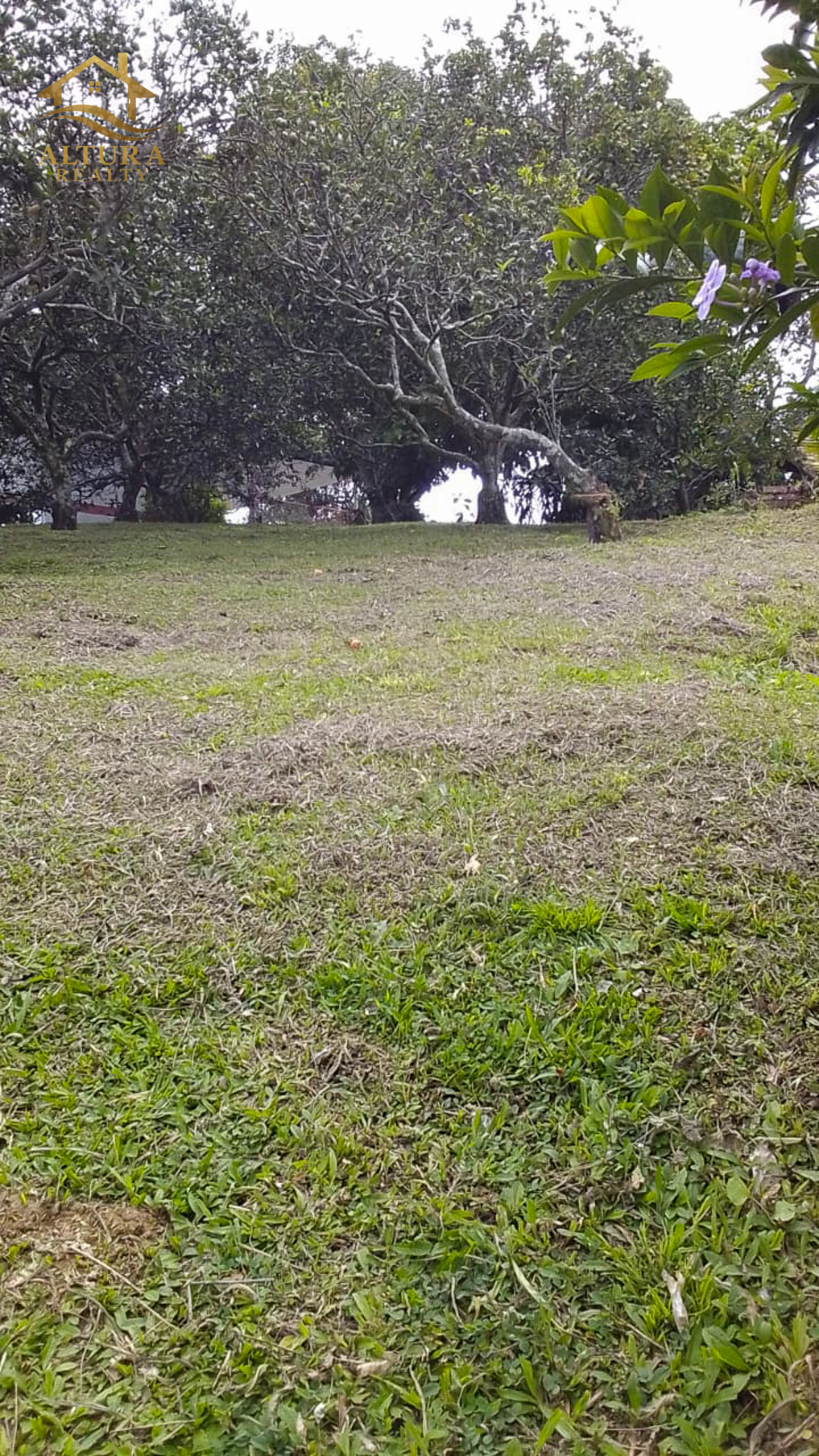 SE VENDE FINCA EN CIRCASIA QUINDIO