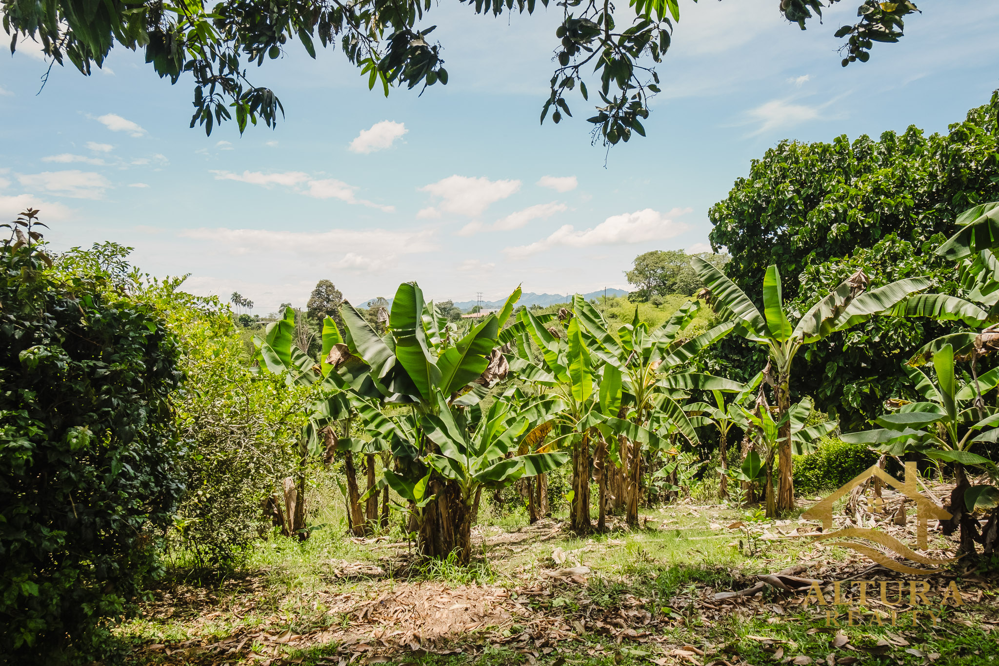 SE VENDE CASA CAMPESTRE EN ALCALA
