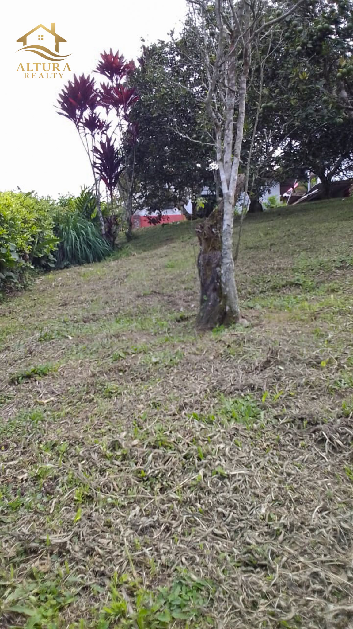SE VENDE FINCA EN CIRCASIA QUINDIO