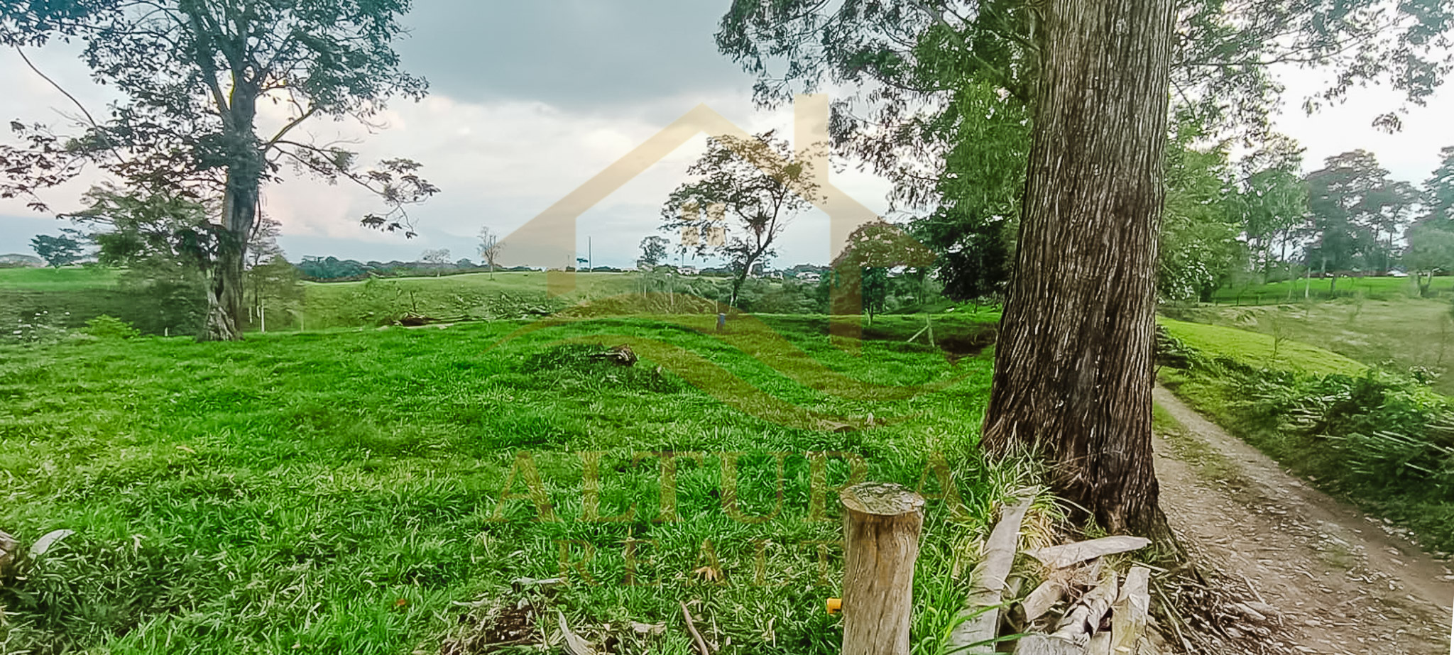 SE VENDE LOTE EN LA CRISTALINA CIRCASIA QUINDIO