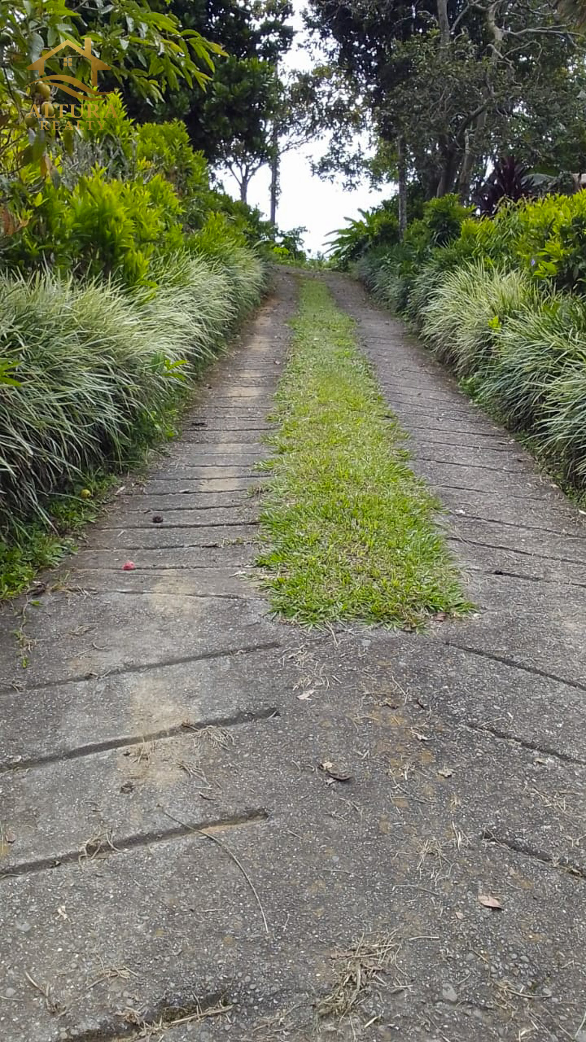 SE VENDE FINCA EN CIRCASIA QUINDIO
