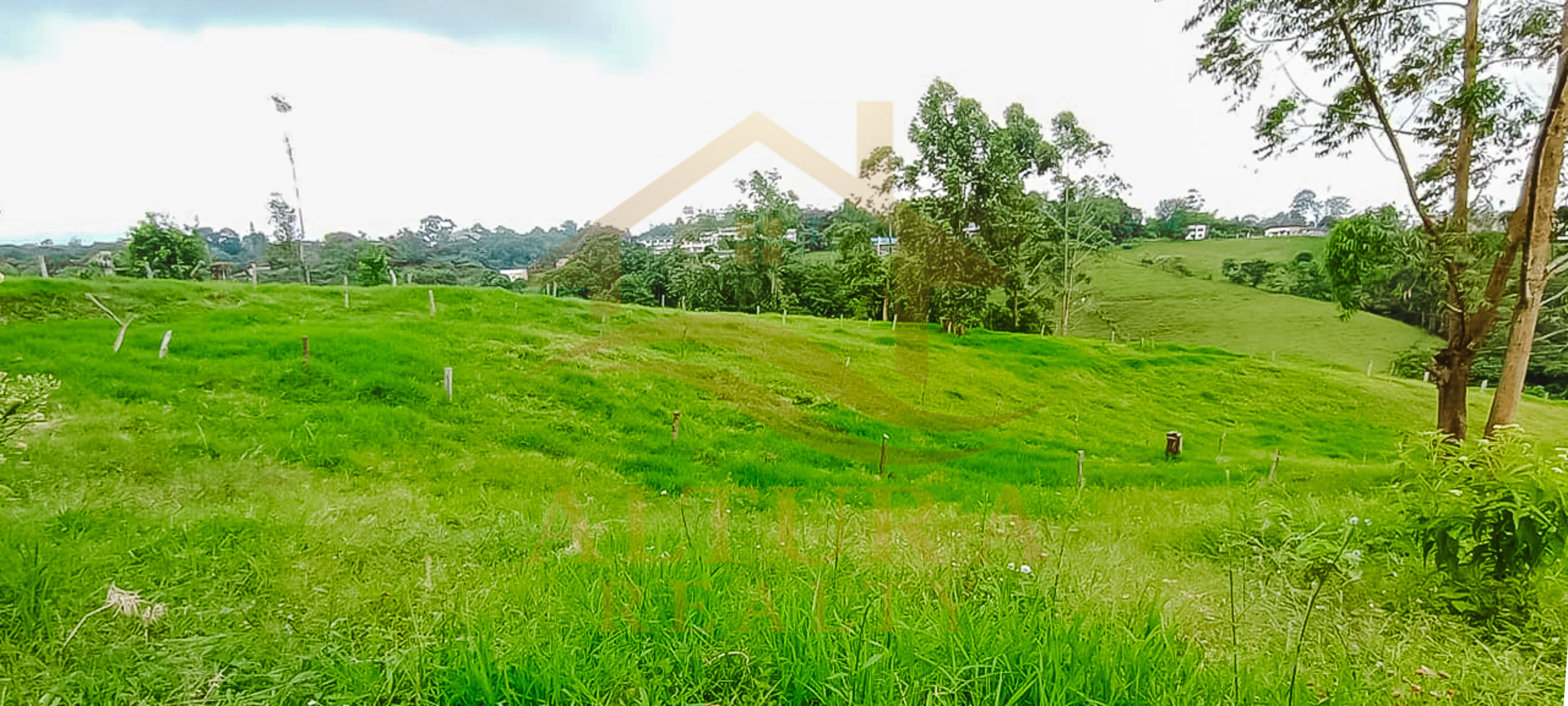 VENTA  5 LOTES  EN CIRCASIA QUINDIO (15.000 C/U)