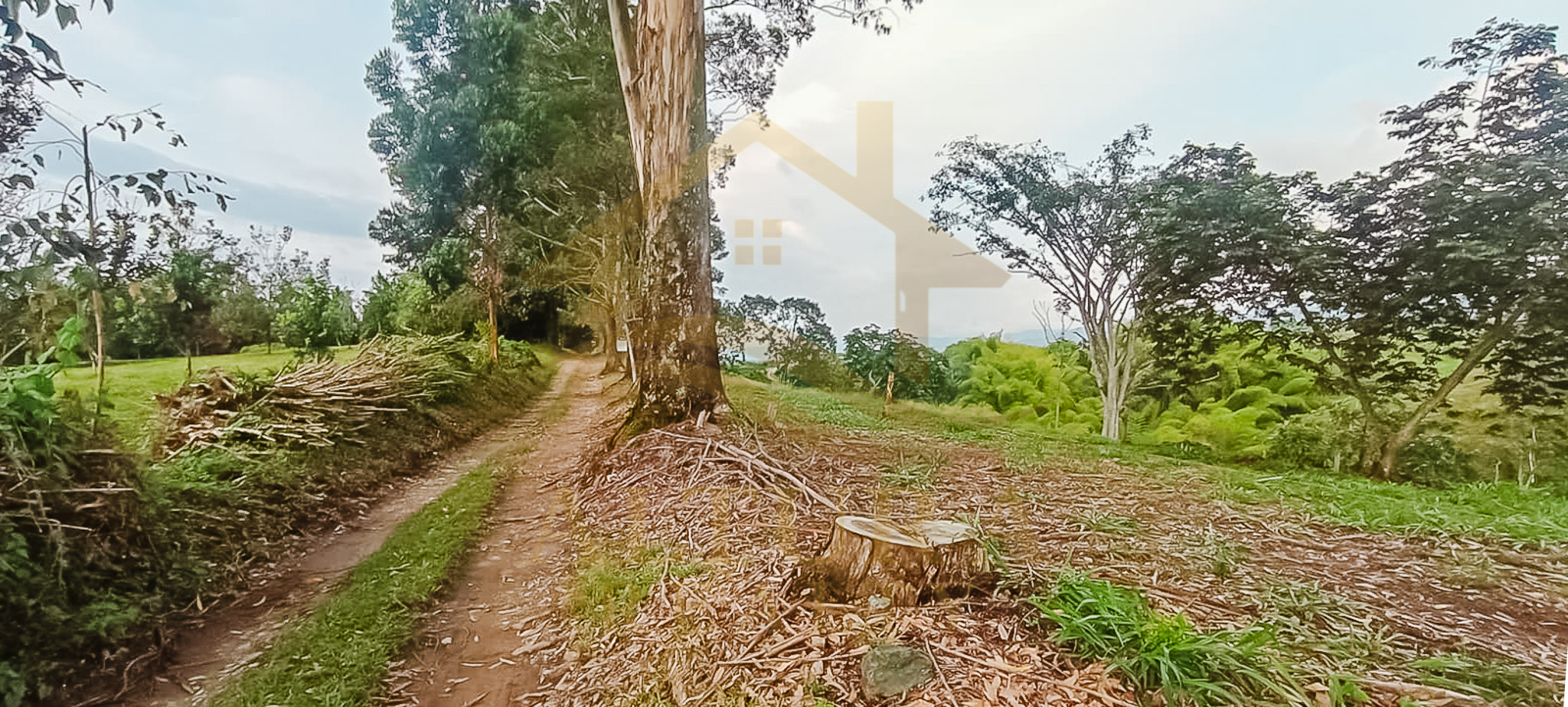 SE VENDE LOTE EN LA CRISTALINA CIRCASIA QUINDIO