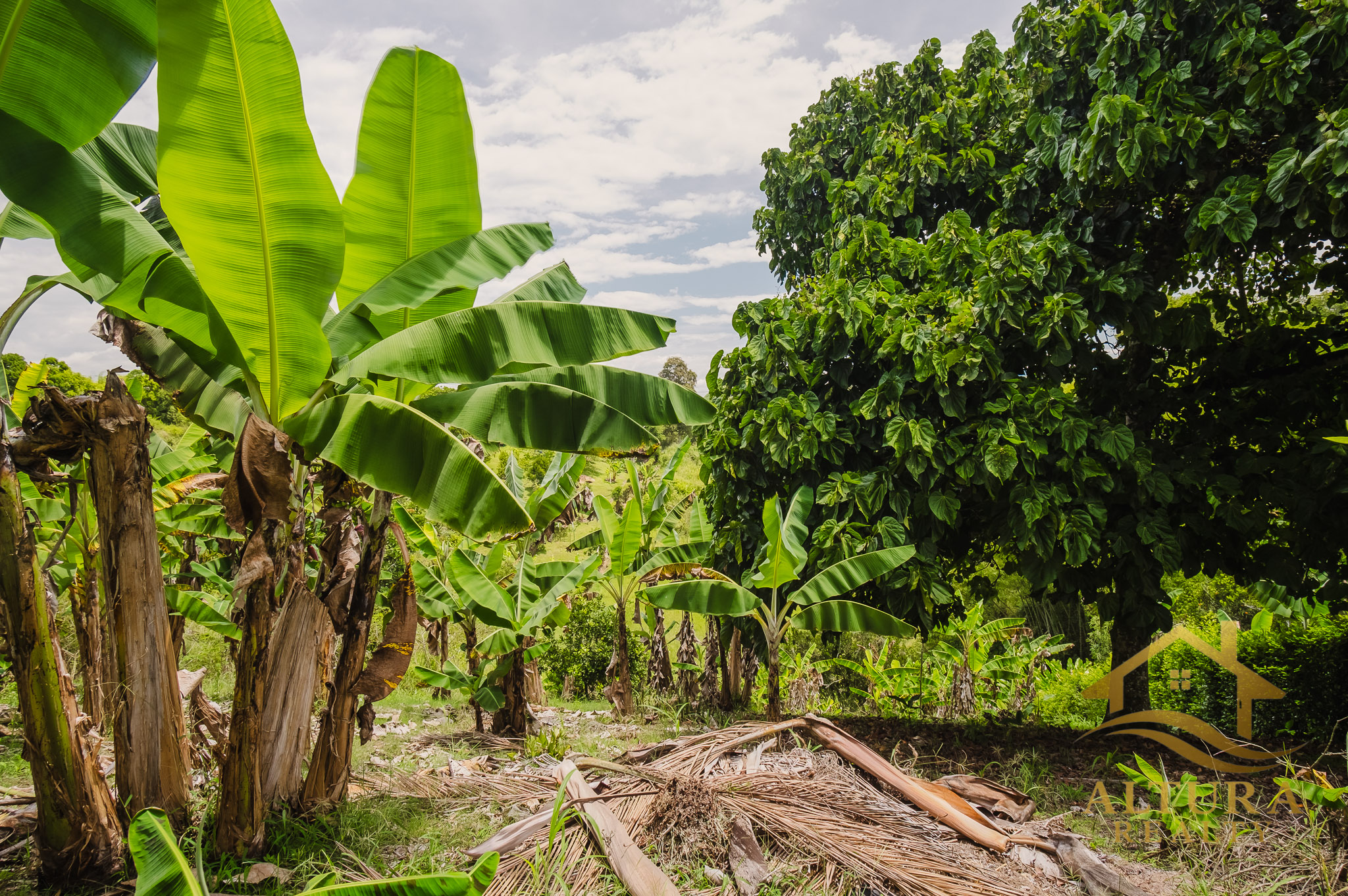 SE VENDE CASA CAMPESTRE EN ALCALA