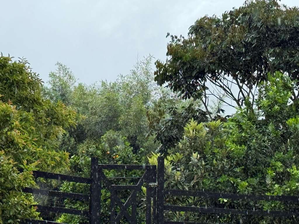 Filandia Exclusive Finca surrounded by native forest